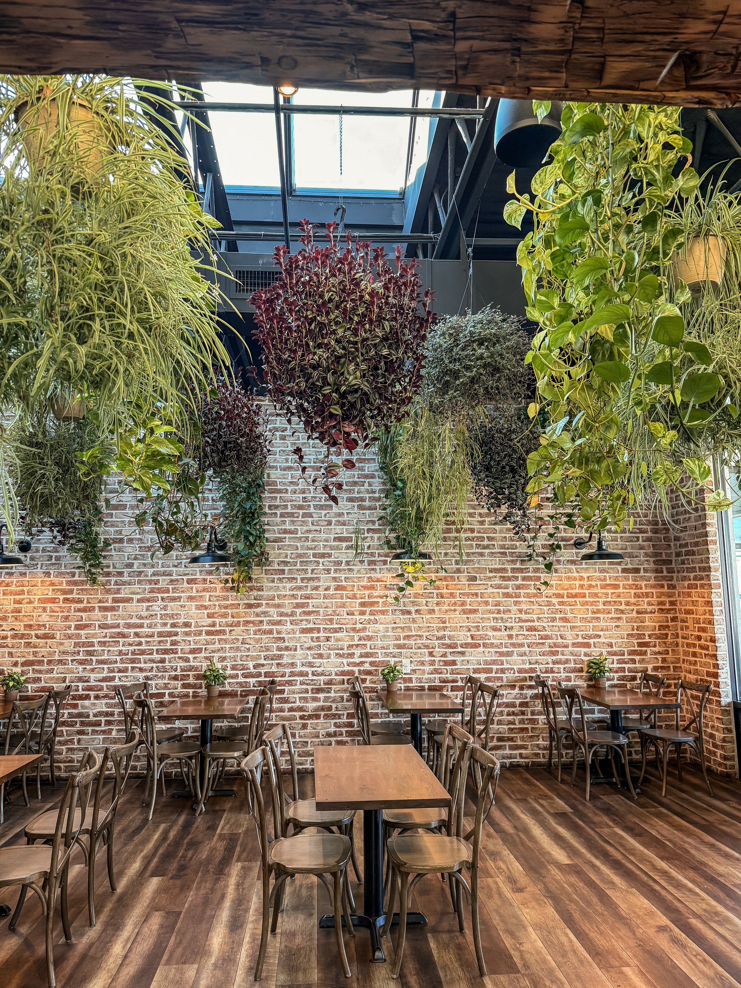 An indoor cafe or restaurant with a brick wall, hanging potted plants, wooden tables, and chairs, with a skylight ceiling.