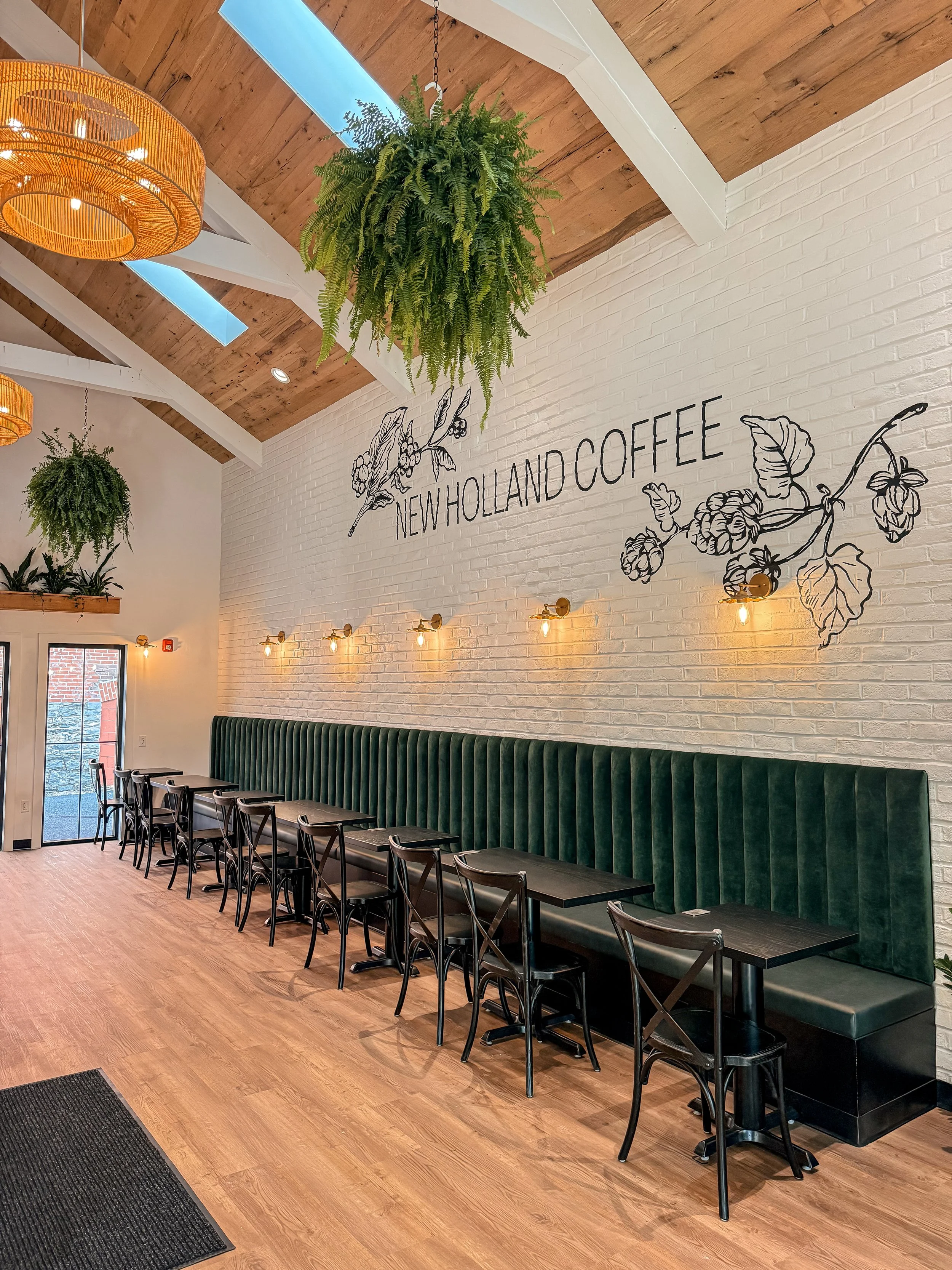 Inside of New Holland Coffee's newly renovated Lititz location. Pictured is a green velvet upholstry bench with black chairs and tables along the wall, hanging fern plants from the ceiling and skylights