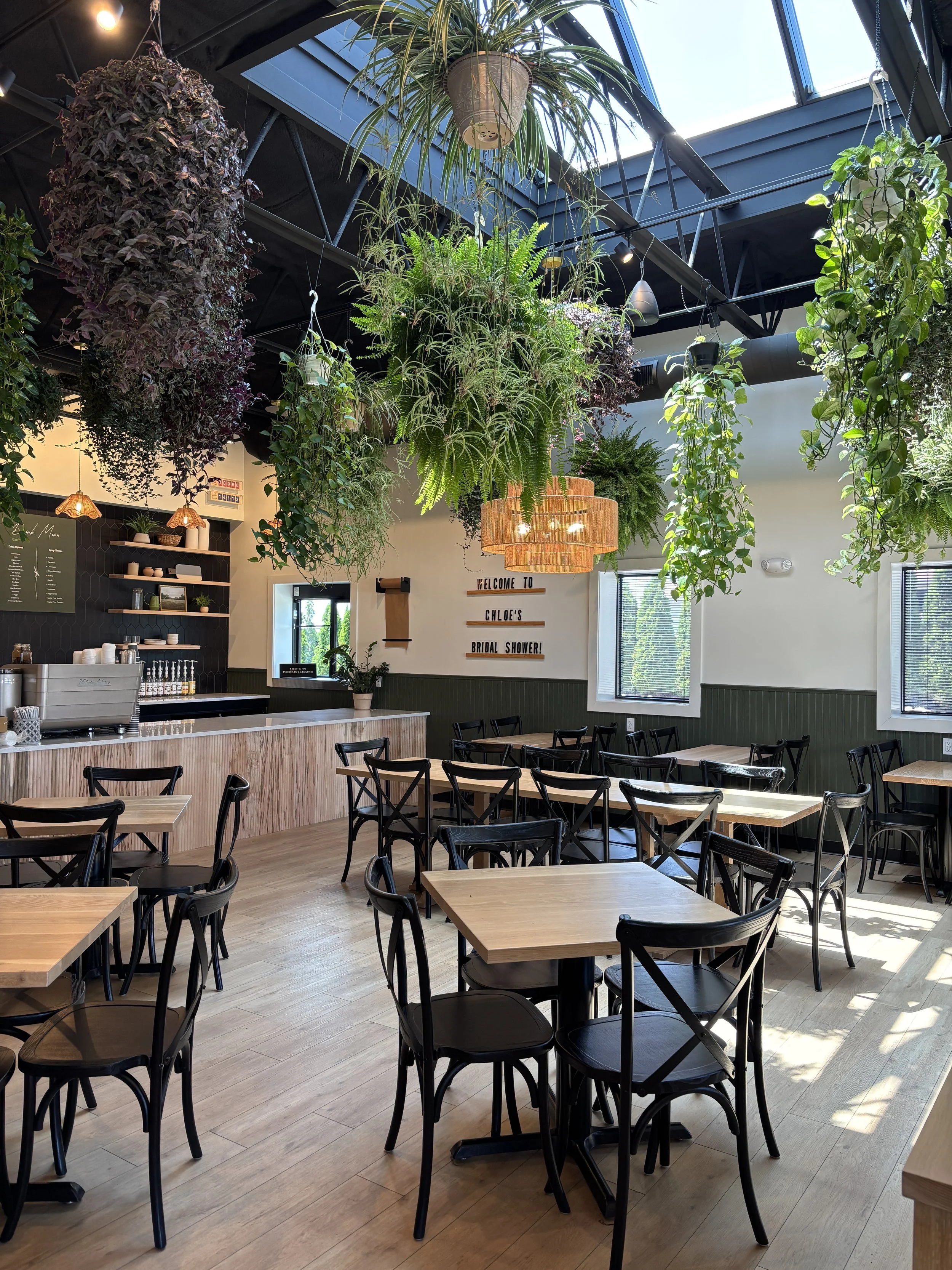 Inside a brightly lit cafe or restaurant with wooden tables and black chairs, decorated with hanging plants and greenery, and natural light streaming through skylights and windows.