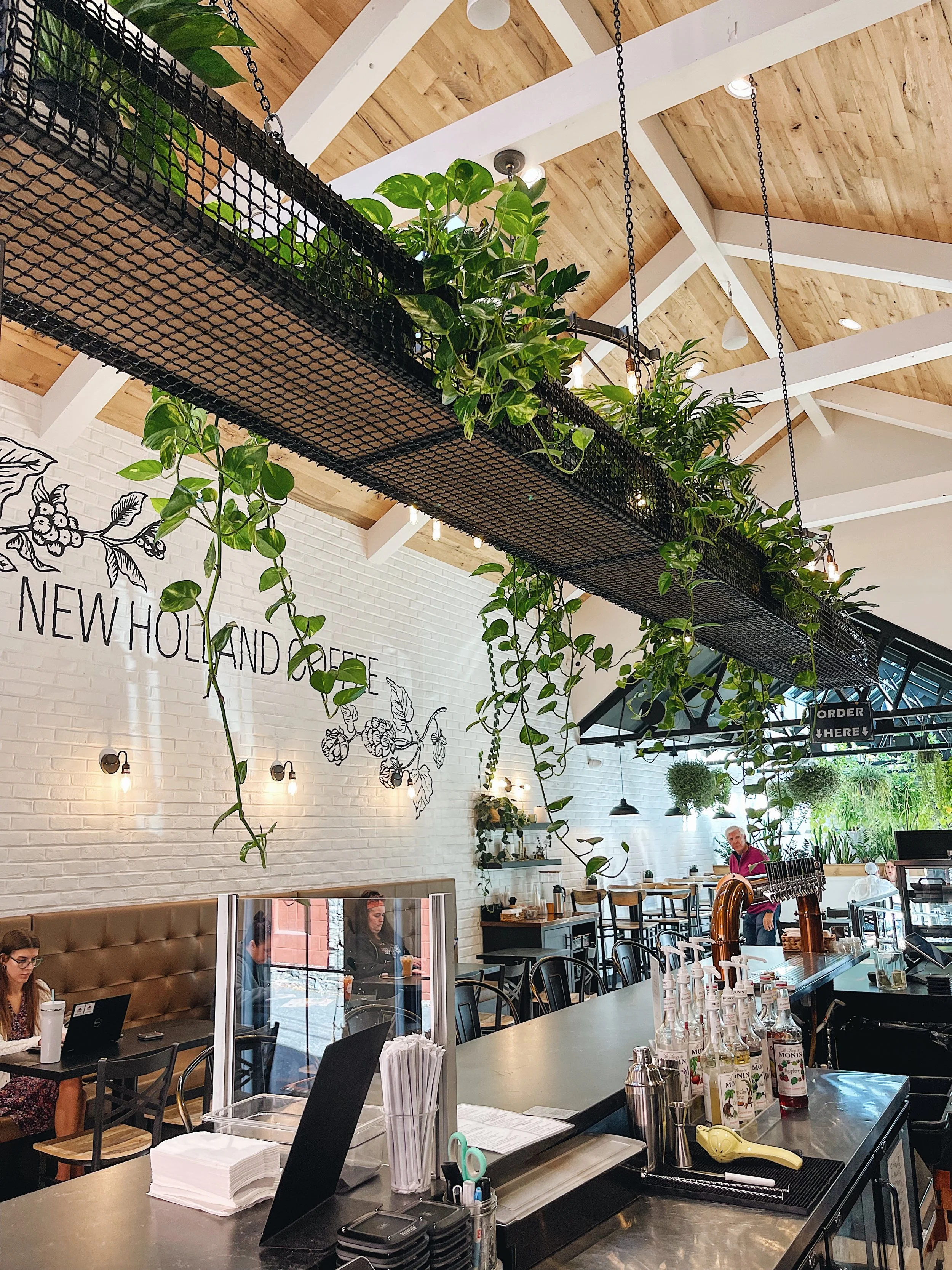 Interior of a café with hanging plants, seating area, and a bar counter with various bottles and equipment.