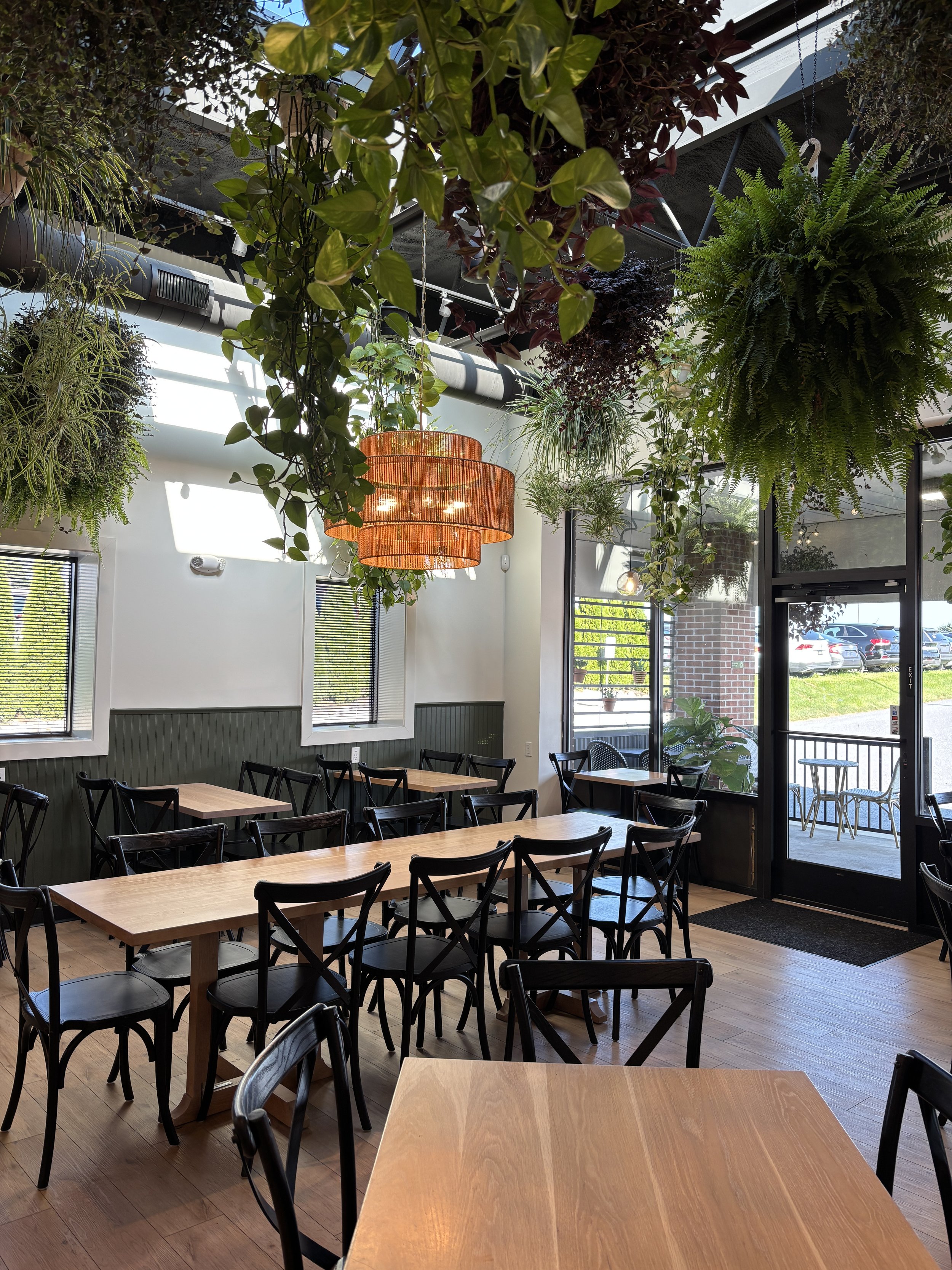 Interior of a modern restaurant or cafe with wooden tables, black chairs, hanging plants, large windows, and a wooden floor. There is a warm orange hanging light fixture and outdoor seating visible through the glass door.