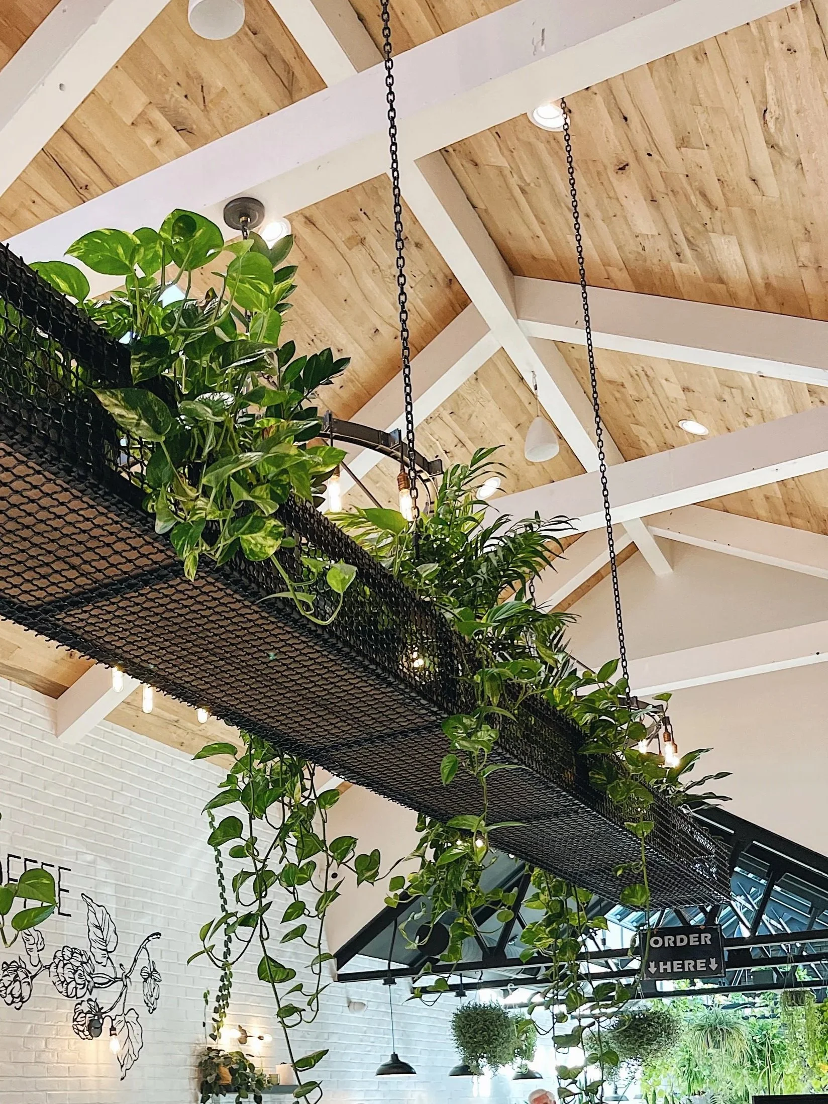 Indoor space with a wooden vaulted ceiling, hanging black chain planters with green plants, hanging lights, white brick wall, and a black metal sign that says 'Order Here'.