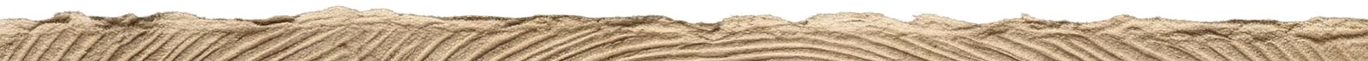 Close-up of a textured wooden surface with parallel lines and grain patterns.