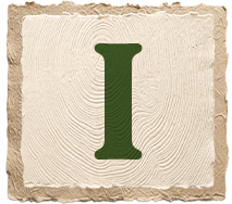 Letter I in green on a textured beige background