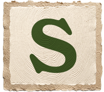 A large, stylized green letter 'S' on a textured beige background.