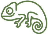 Cartoon drawing of a chameleon.