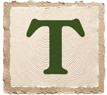Green capital letter T on a beige, textured, vintage-style background