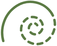 Green spiral dotted line on transparent background
