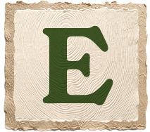 Letter E in dark green on a textured beige background.