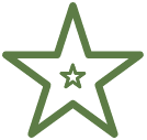 Green star with a smaller star inside it