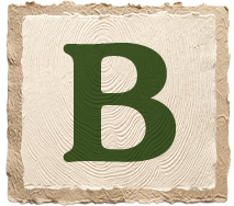 Letter B in dark green on a vintage-style beige background