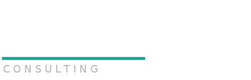 SVM Consulting | Sean Väli