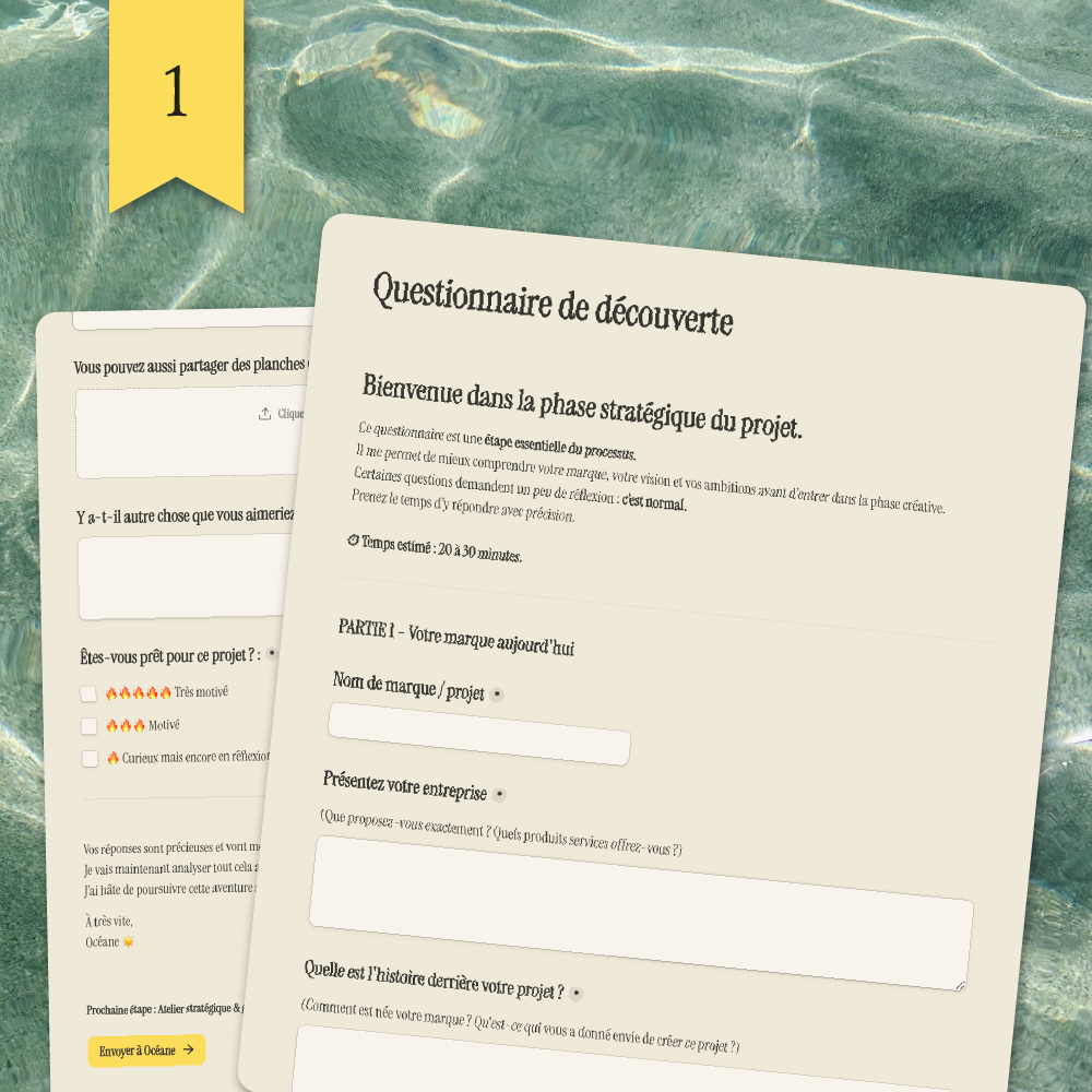 Questionnaire client - Identité visuelle Santa Brevina Studio