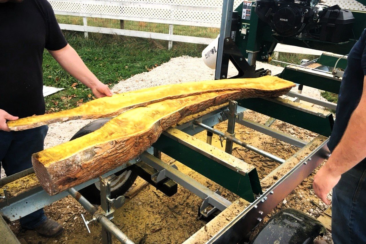 Large piece of wood being processed on a bandsaw with two people holding it, outdoors with white fence in background.