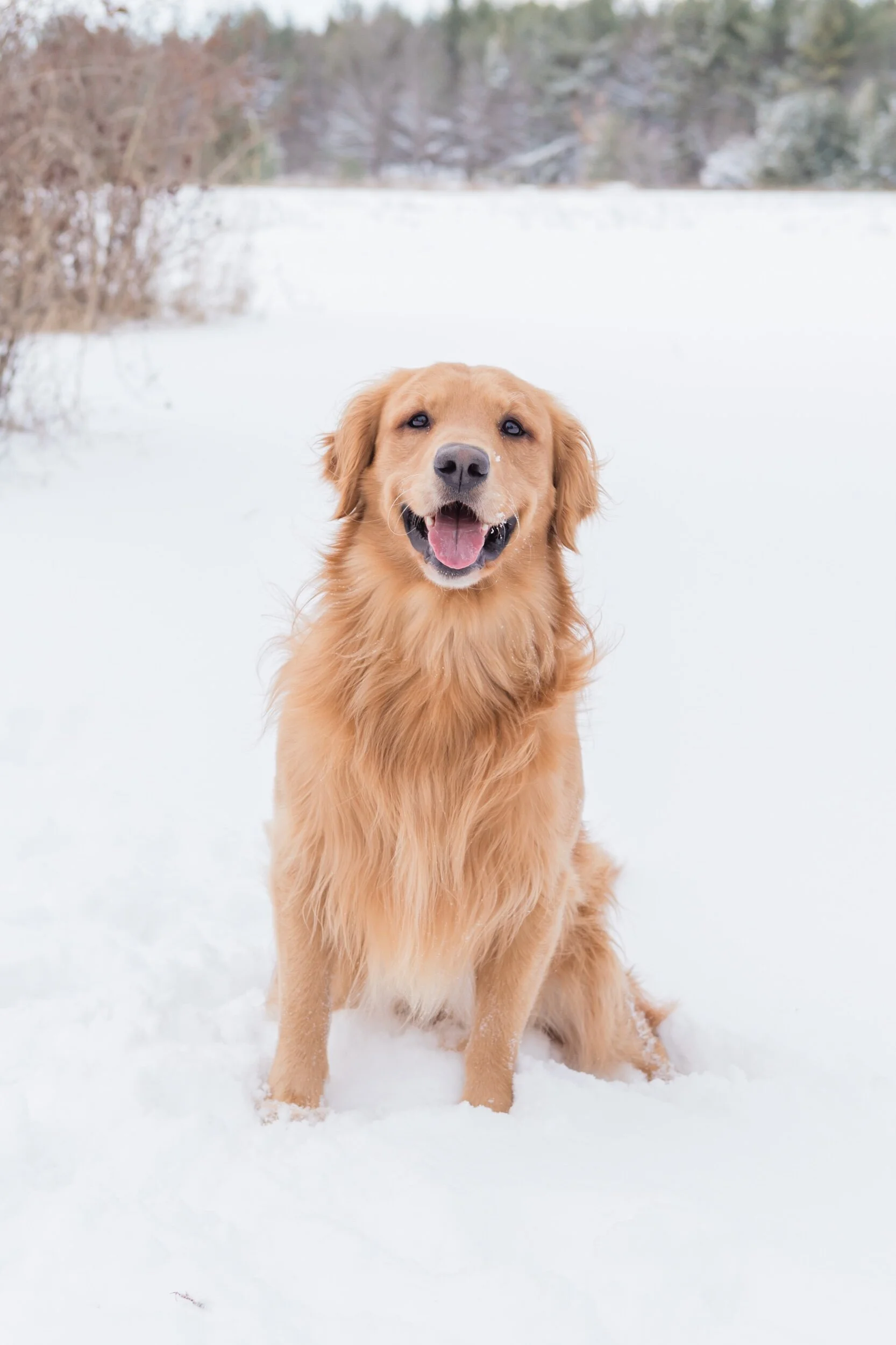 Smudge_EmilyMaeAnnPhotography-3.jpeg