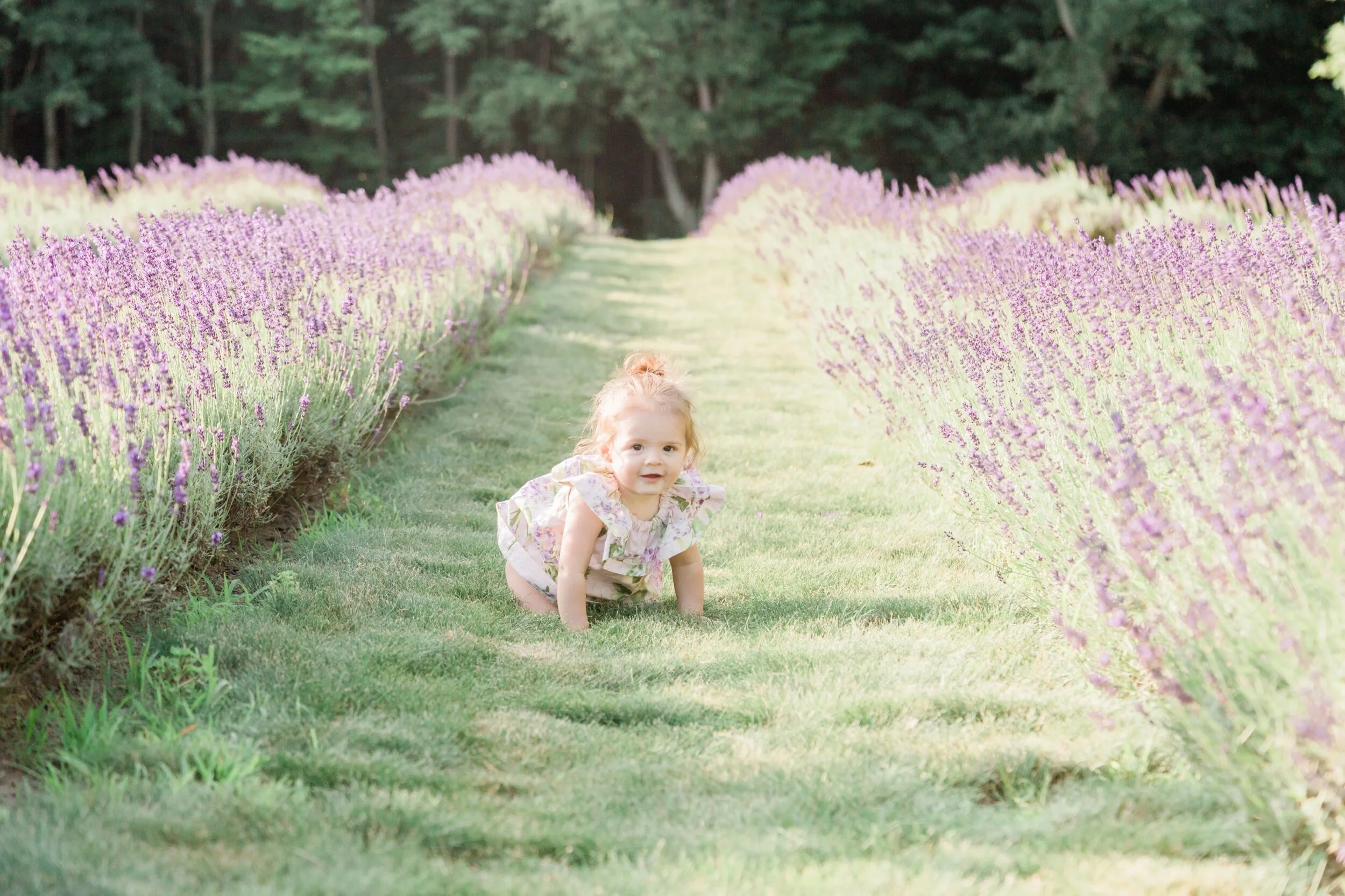 LaveanneLavenderSneakPeek_EmilyMaeAnnPhotography-43.jpeg