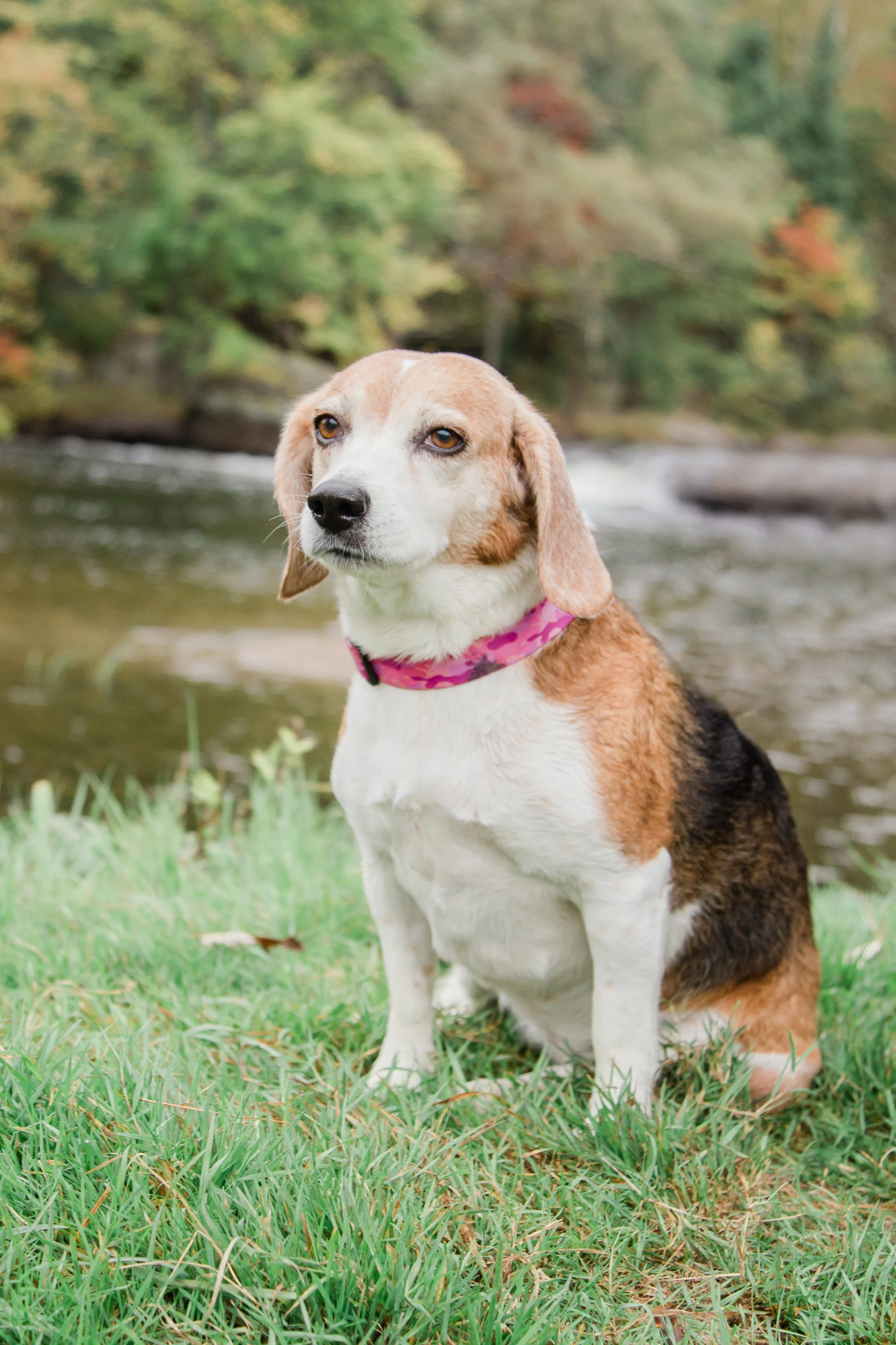 OsheaFamilySession2018_EmilyMaeAnnPhotography-53.jpg
