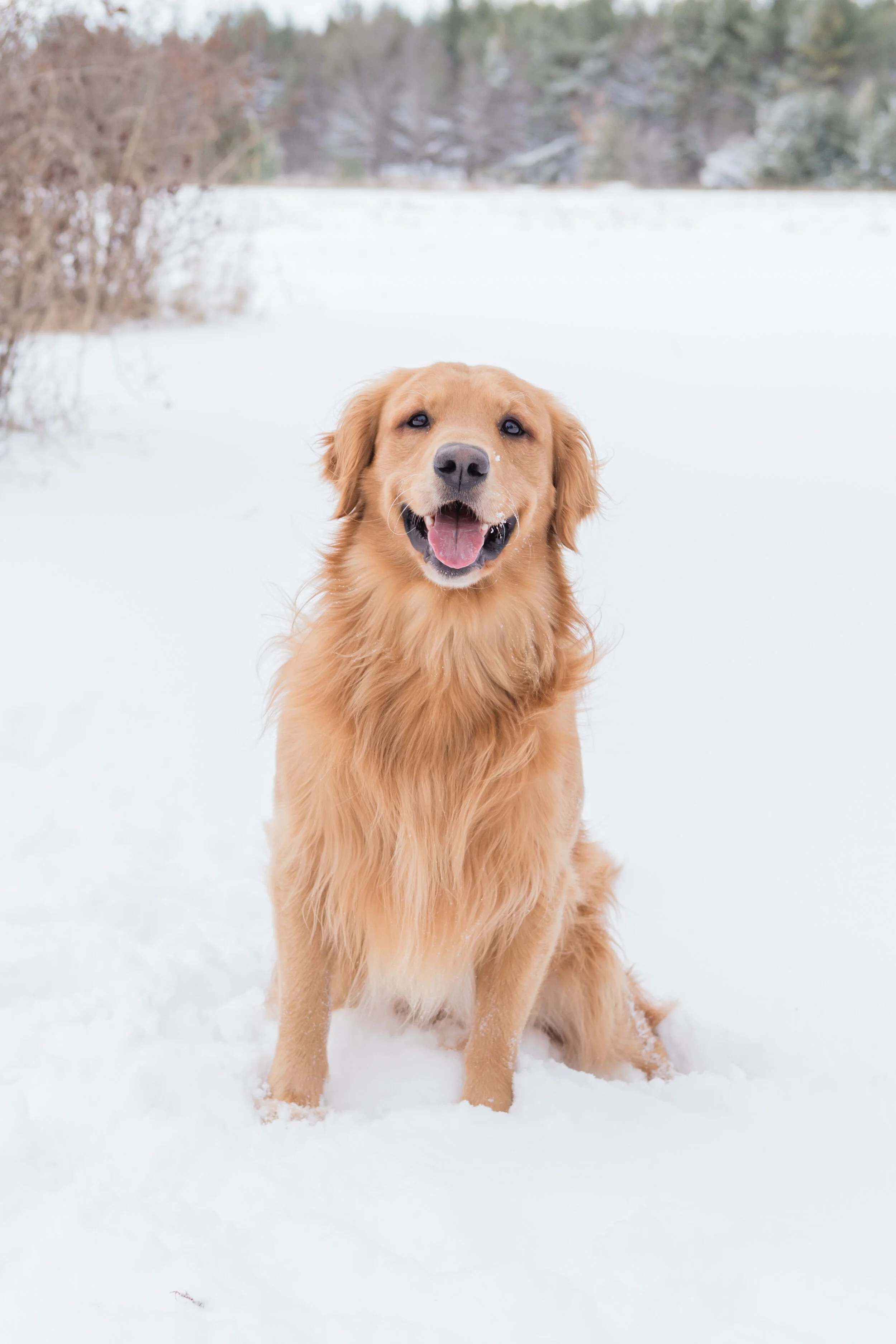 Smudge_EmilyMaeAnnPhotography-3.jpg