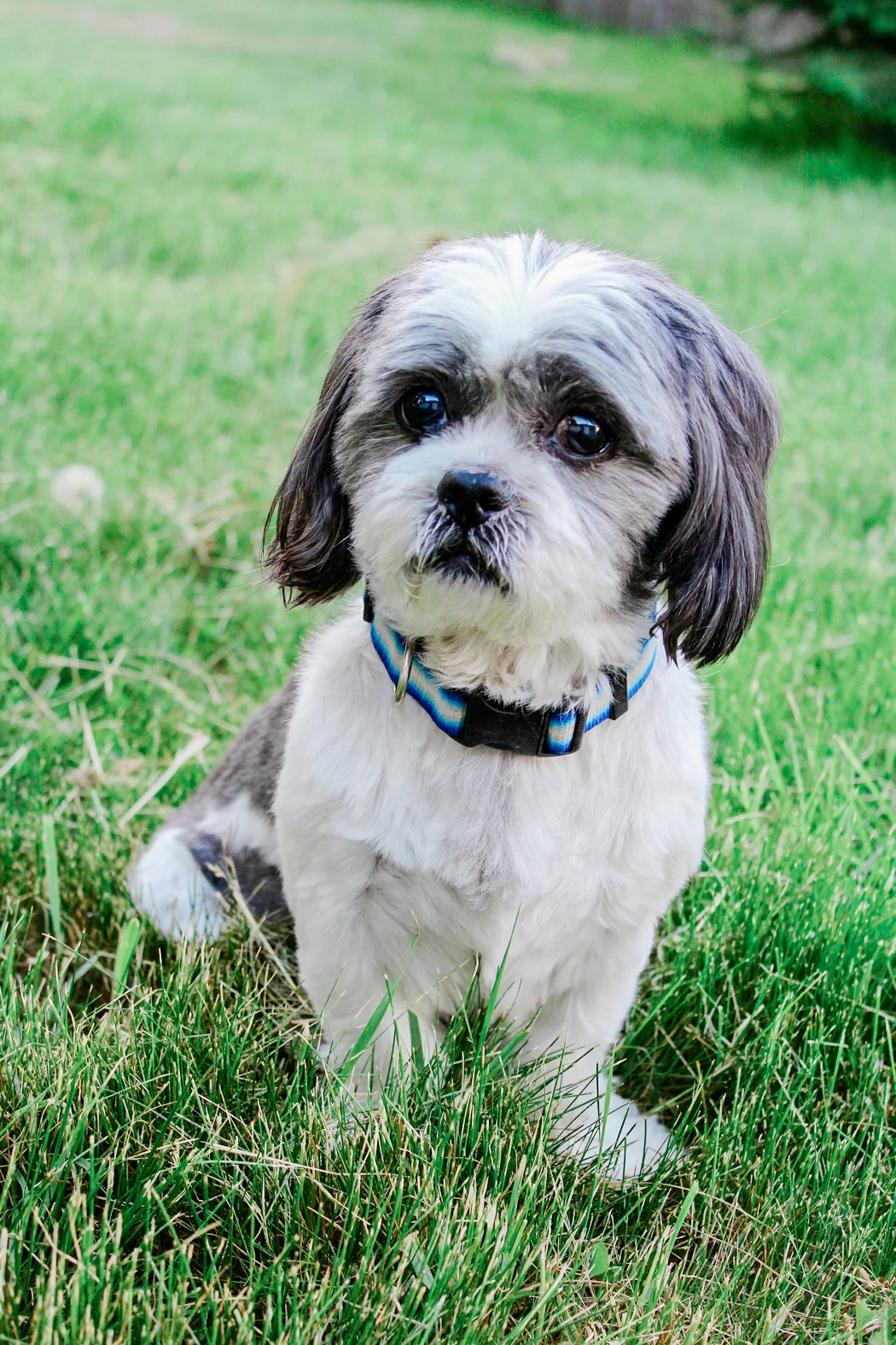 Bear_EmilyMaeAnnPhotography.jpg
