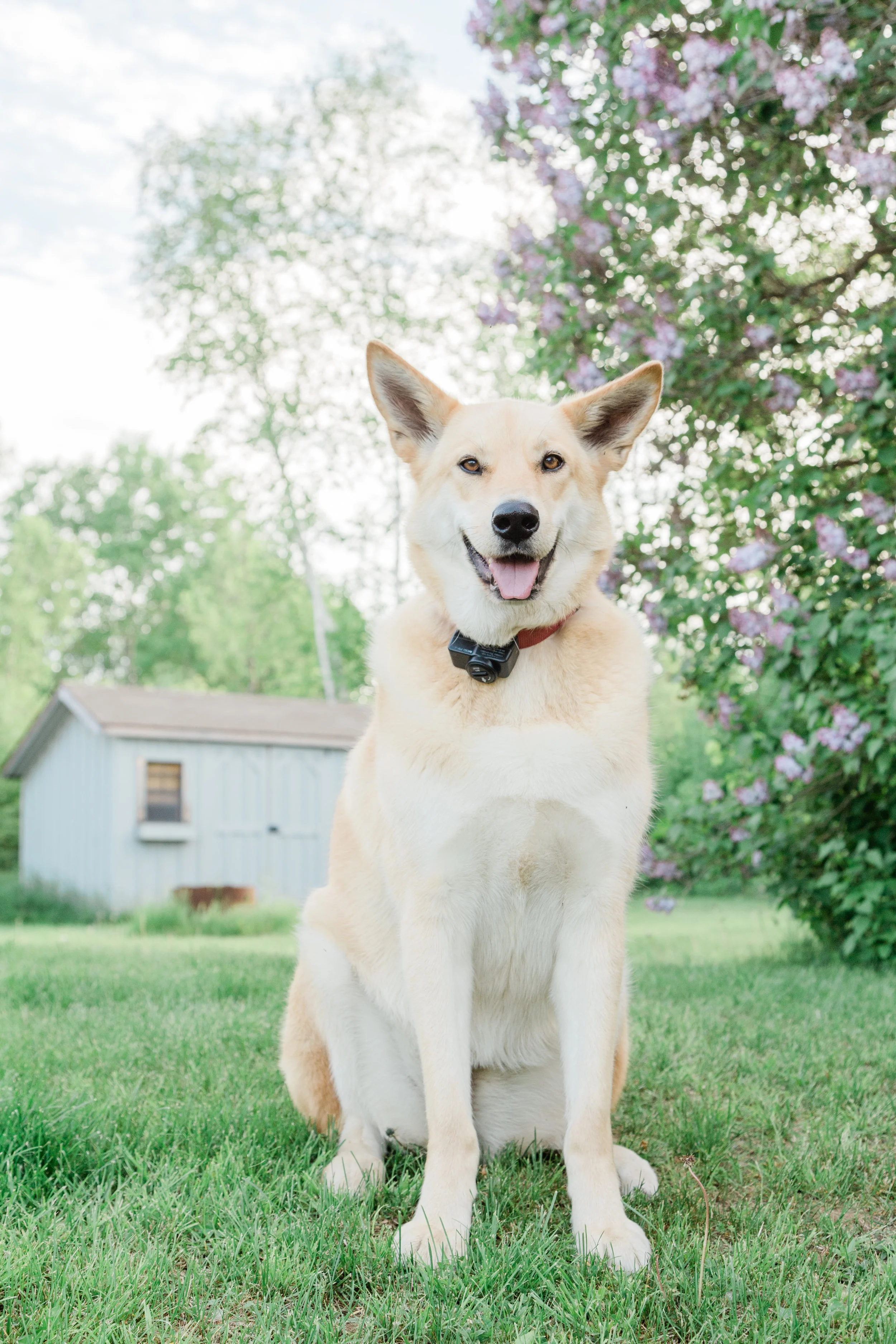 Miley_EmilyMaeAnnPhotography-22.jpg
