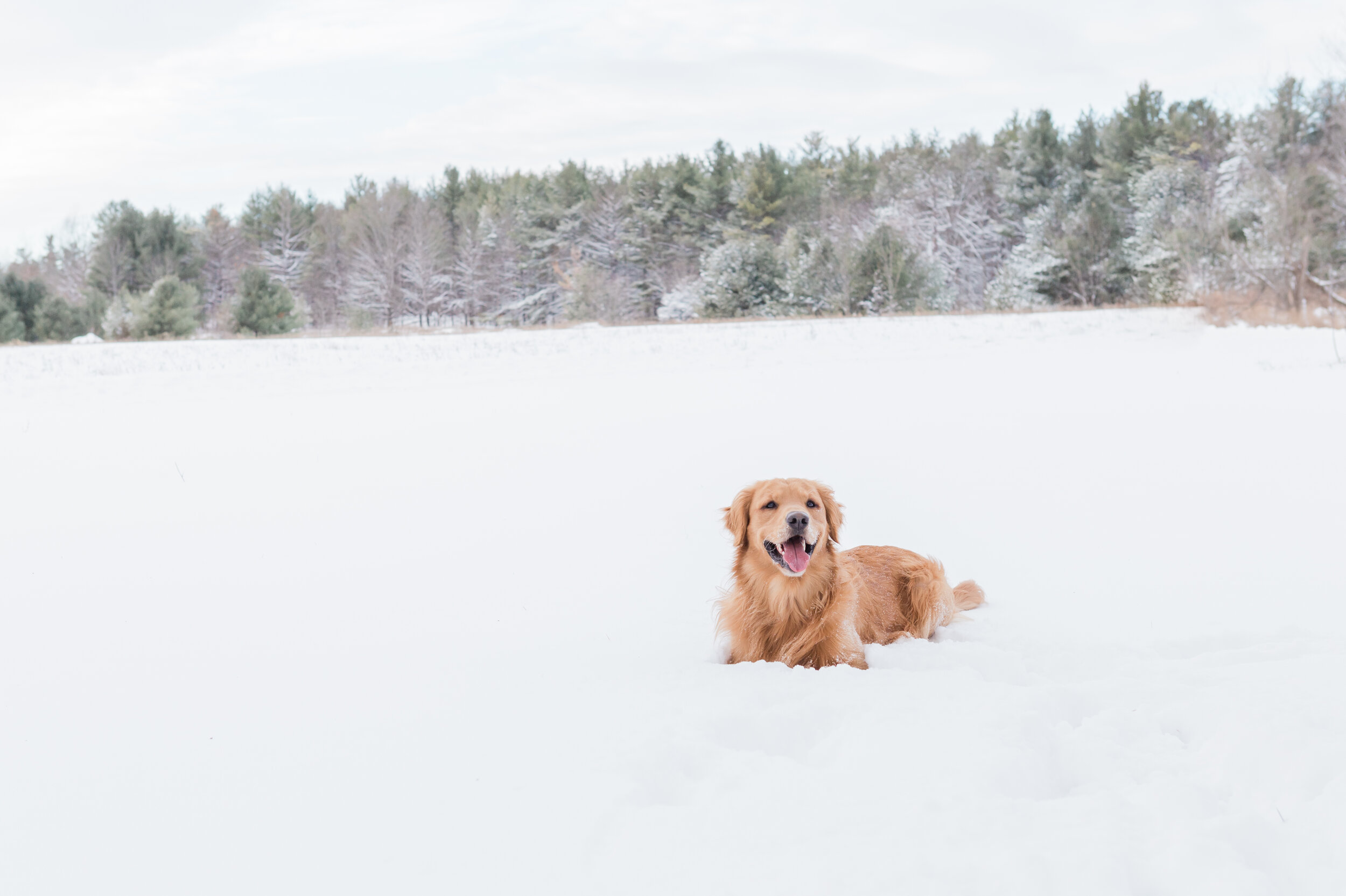 Smudge_EmilyMaeAnnPhotography-7.jpg
