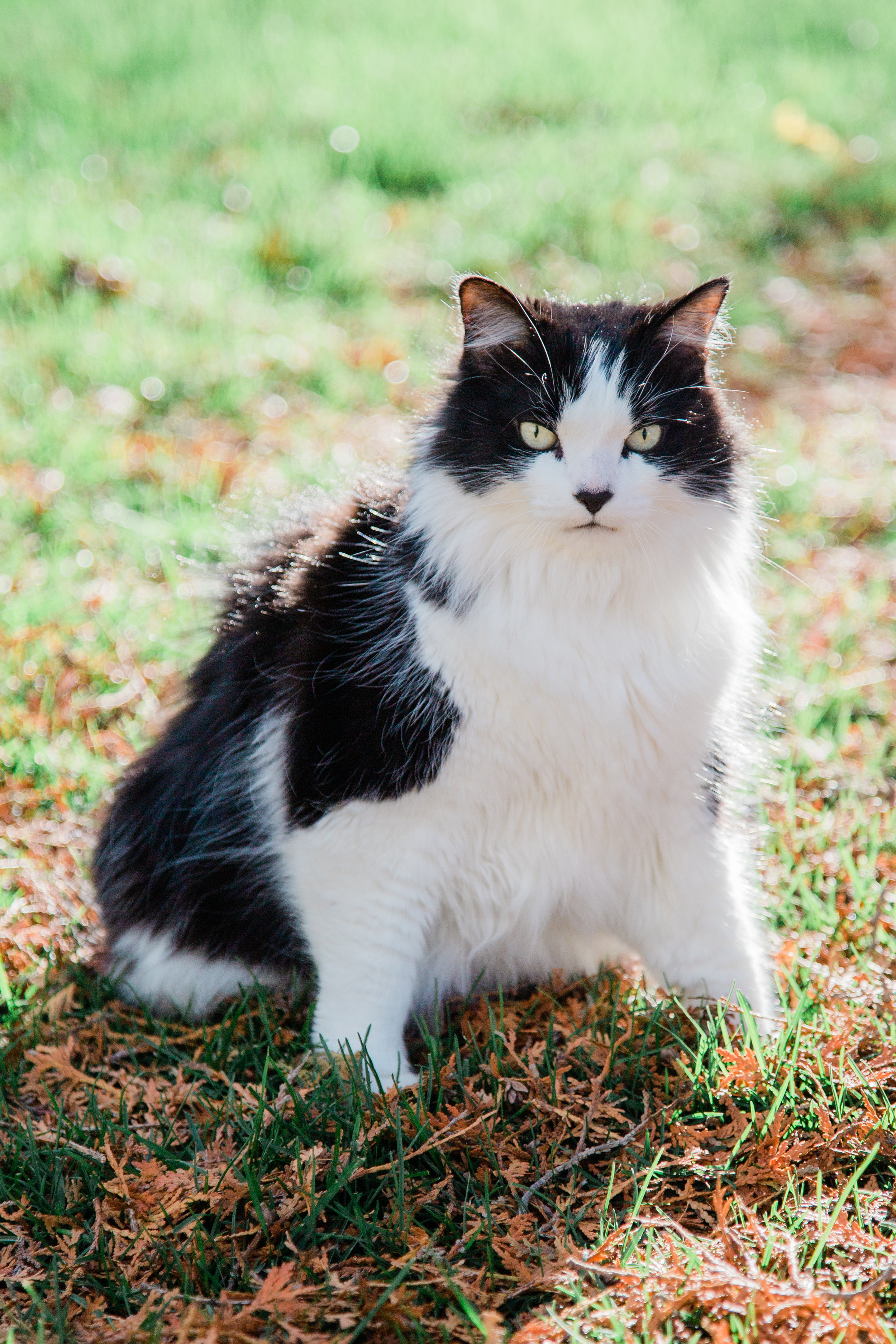 Patches_EmilyMaeAnnPhotography-3.jpg