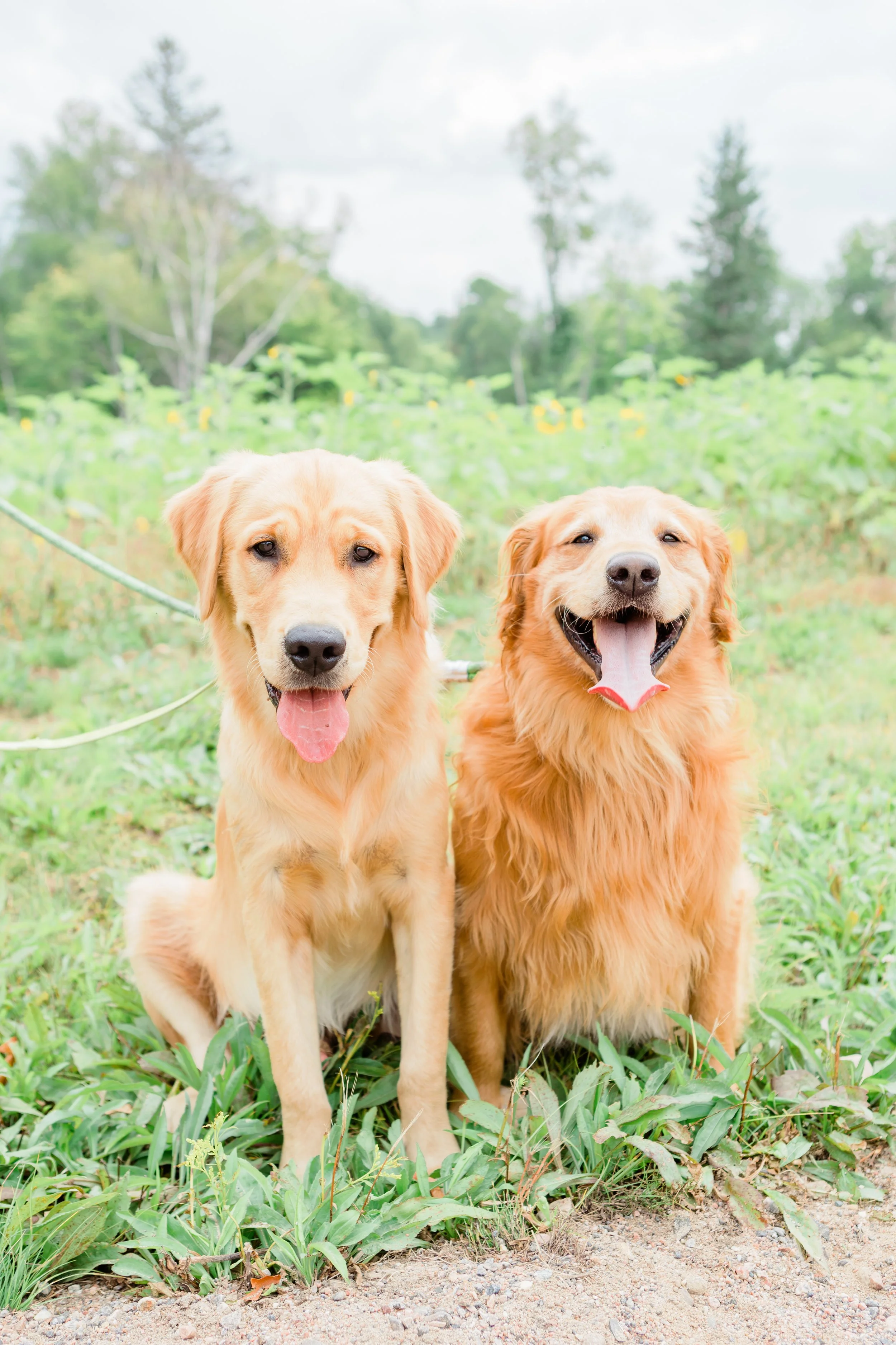 Smudge&Bailey_EmilyMaeAnnPhotography2021-2.jpg