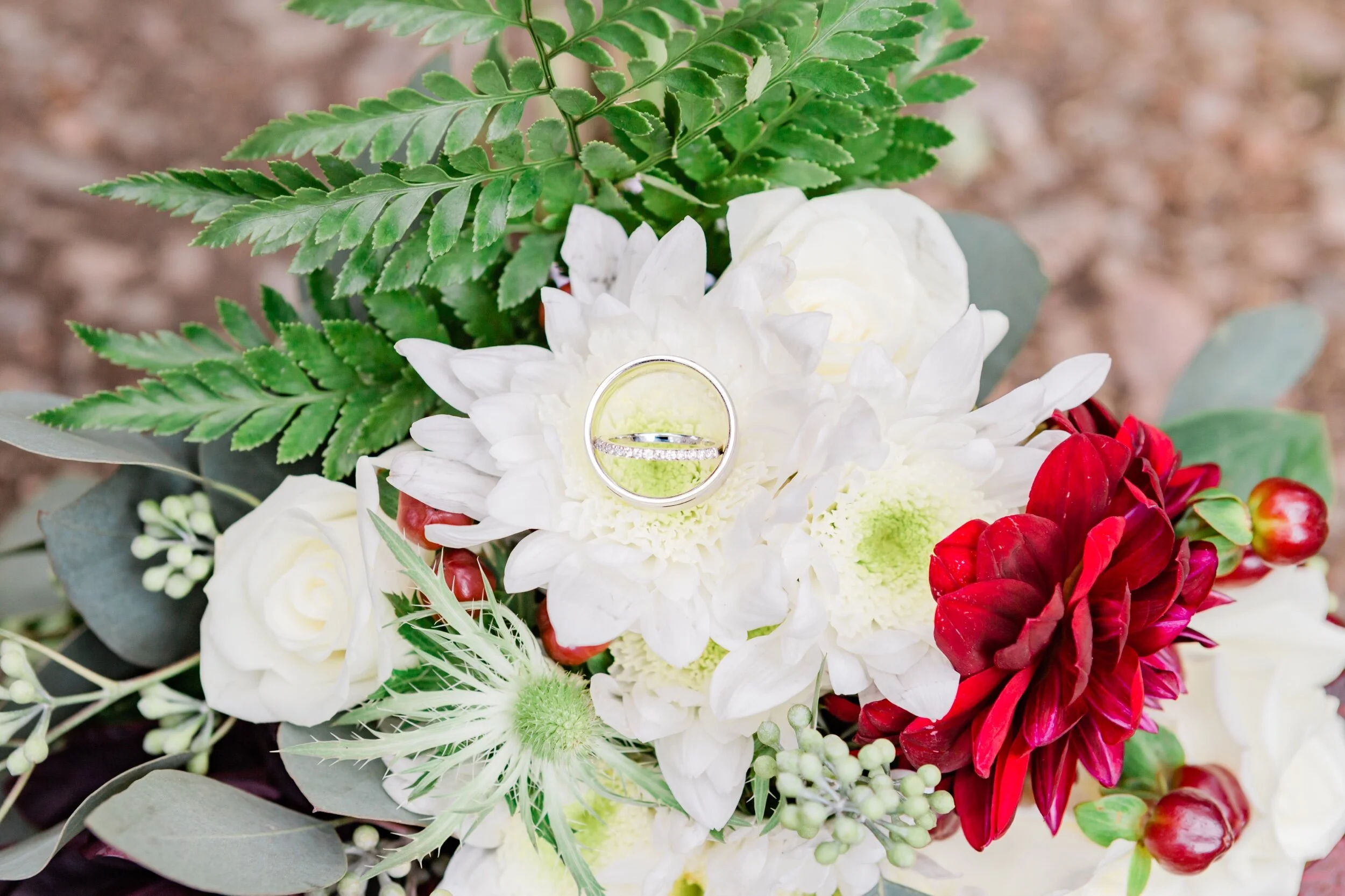 Catherine&RobertsonWedding_EmilyMaeAnnPhotography-2.jpeg