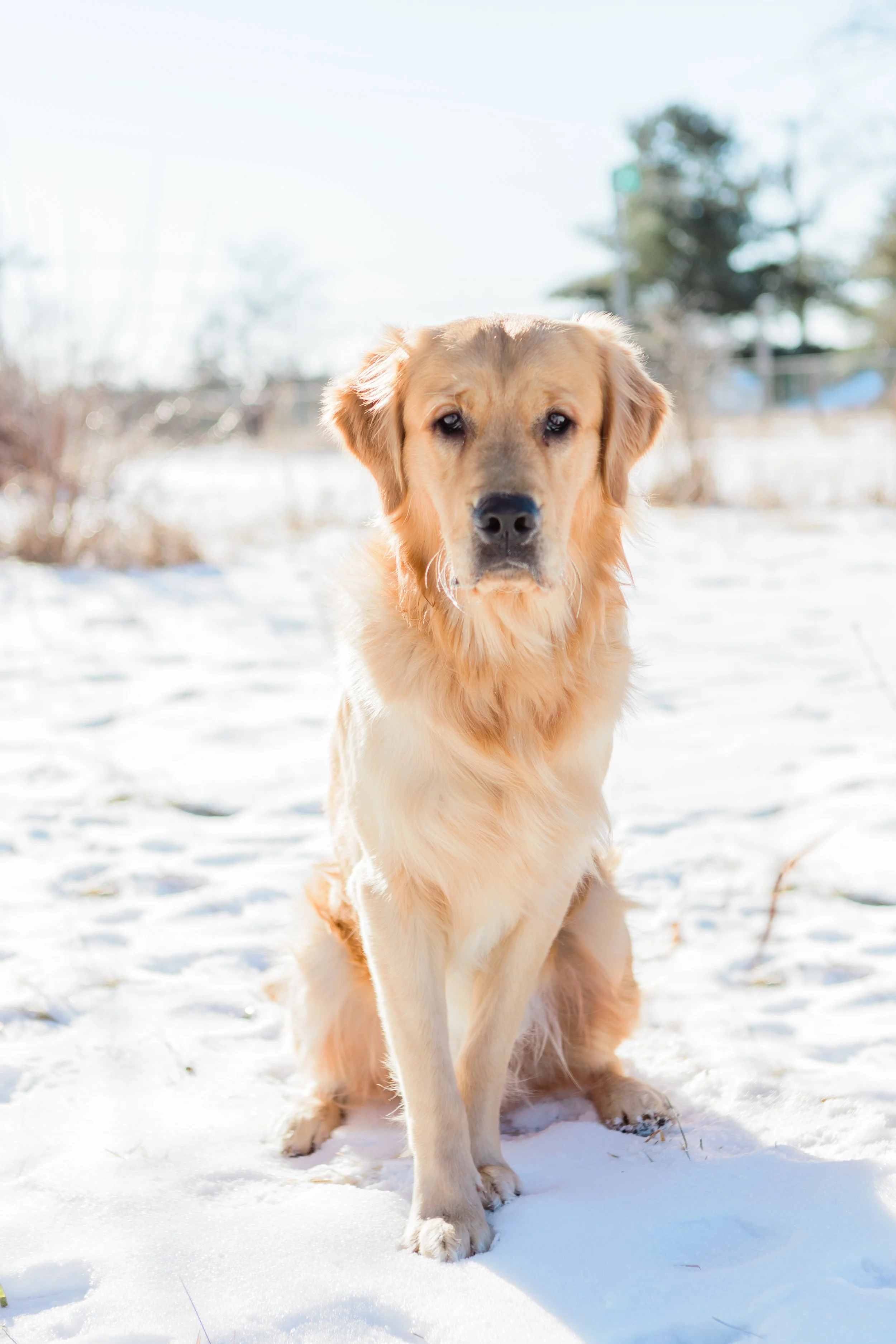 BaileyTurns1_EmilyMaeAnnPhotography2022.jpg