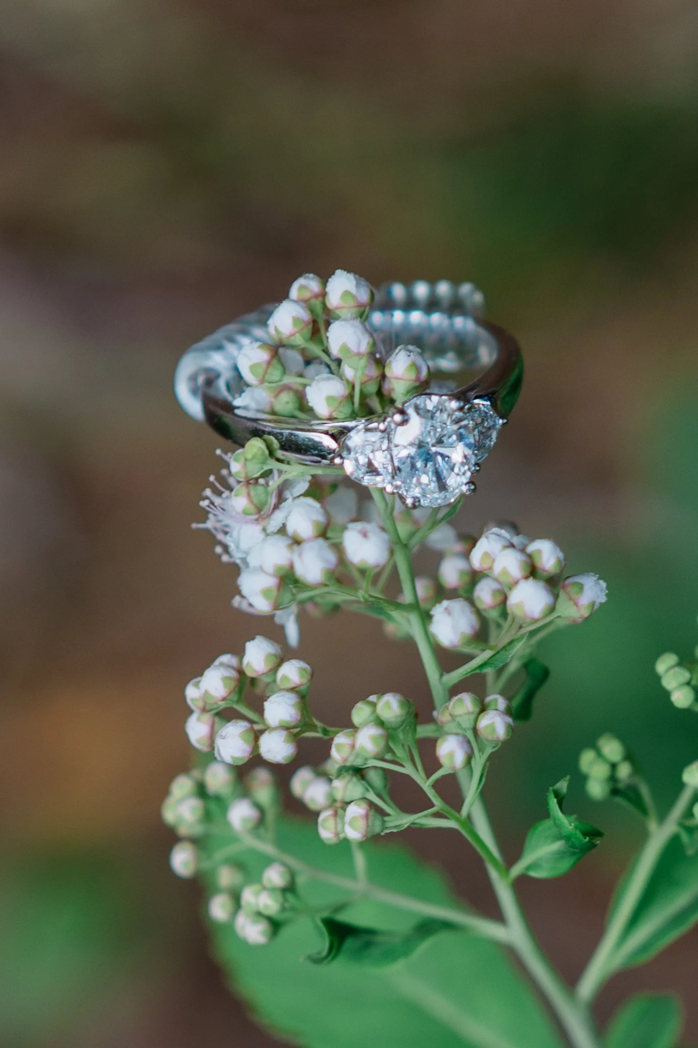 David&OliviaProposal_EmilyMaeAnnPhotography2026-141.jpg