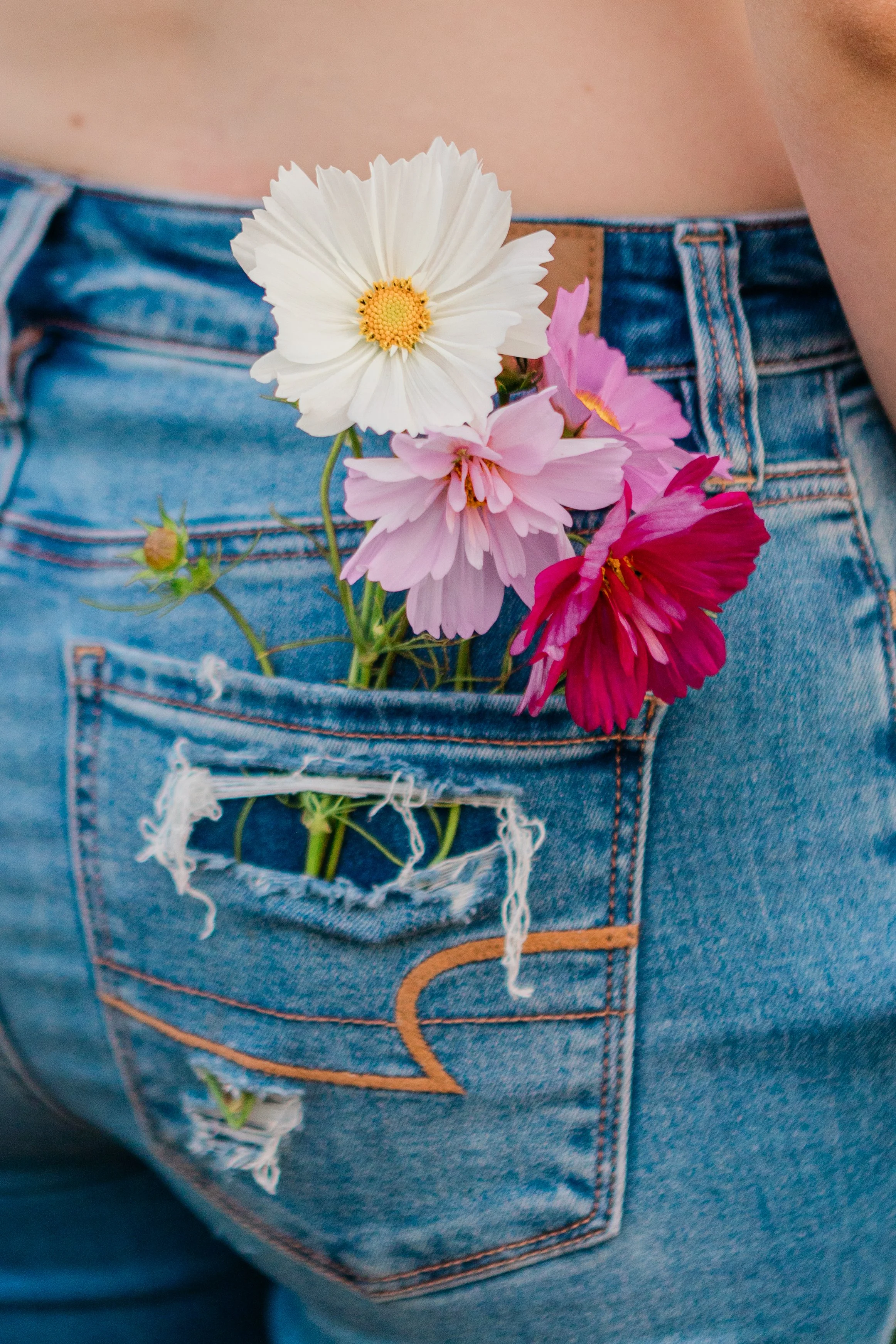 LivFlowerField_EmilyMaeAnnPhotography2026-23.jpg
