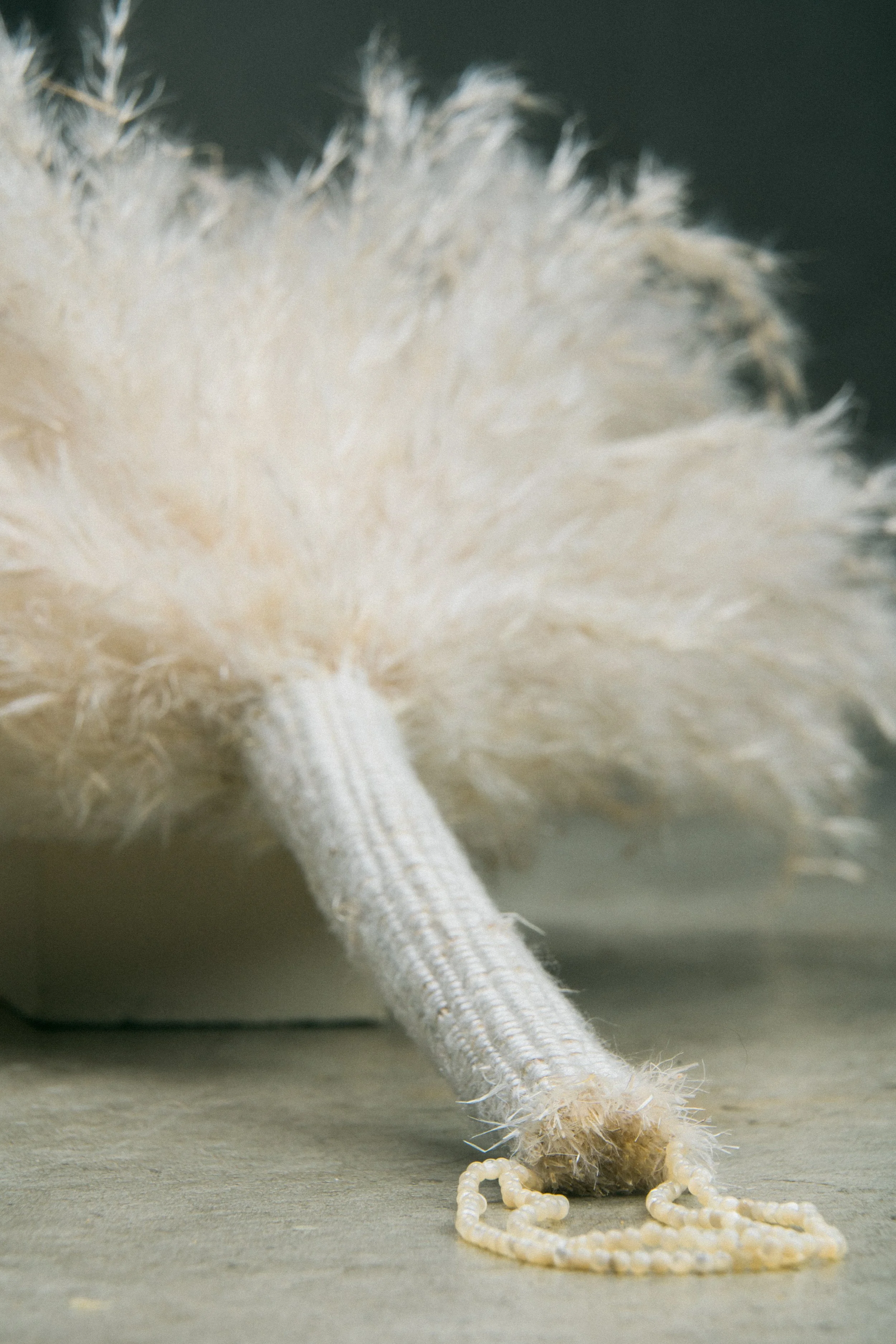 Handbroom_Ckeaning_House_1.jpg