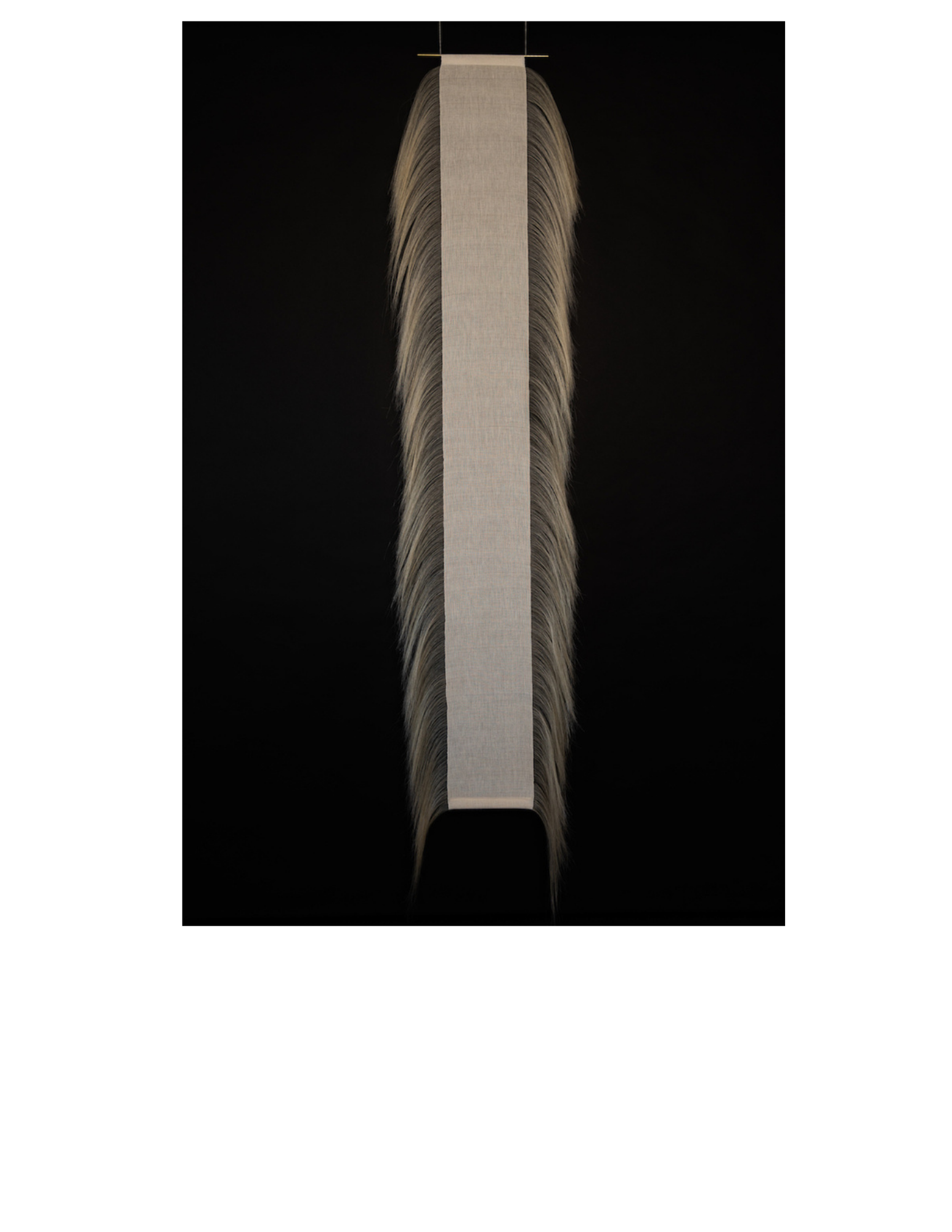 20.png