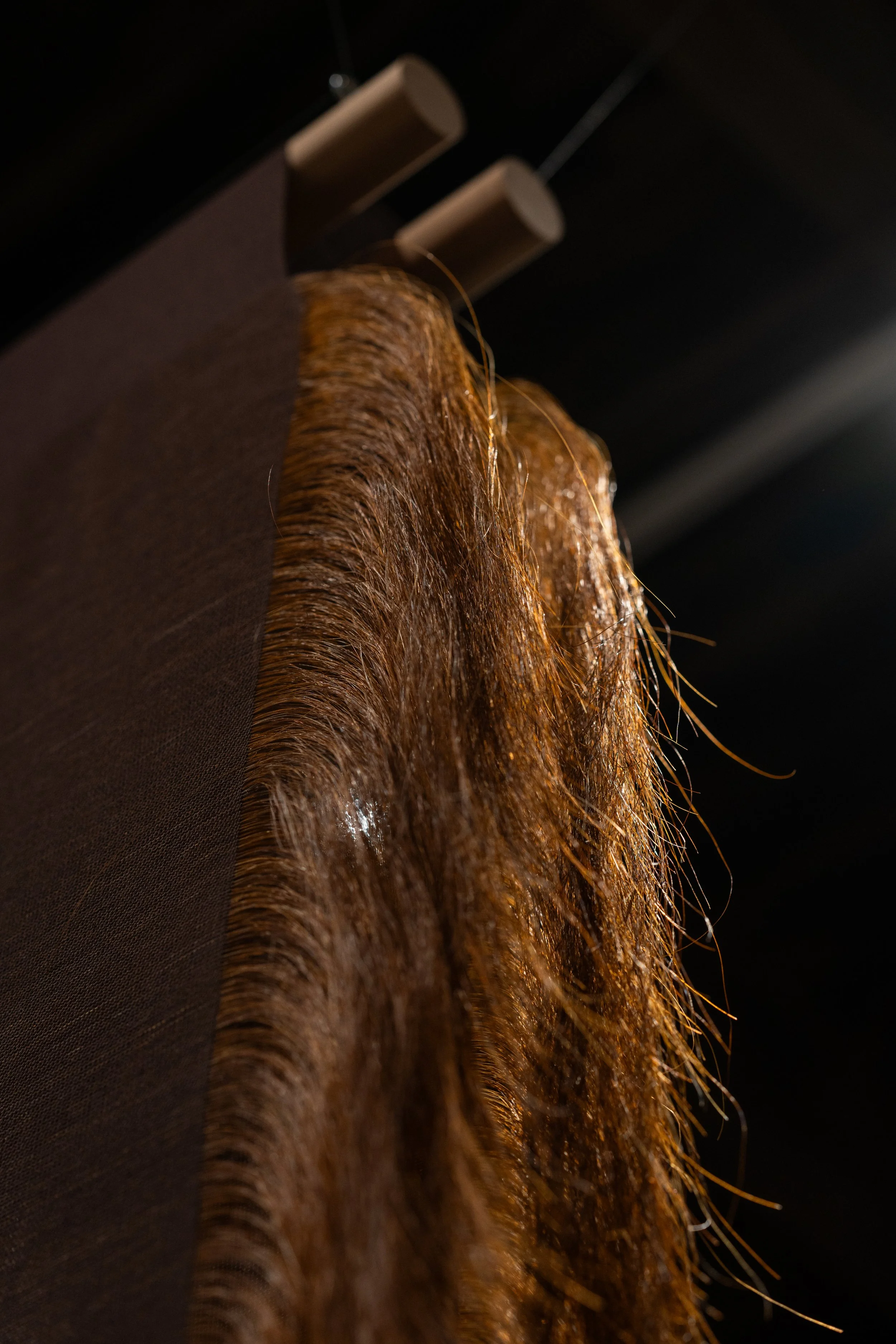 witches ladder chocolate brown up close.jpg