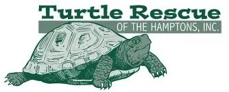 Logo for Turtle Rescue of the Hamptons, Inc., featuring a cartoon turtle