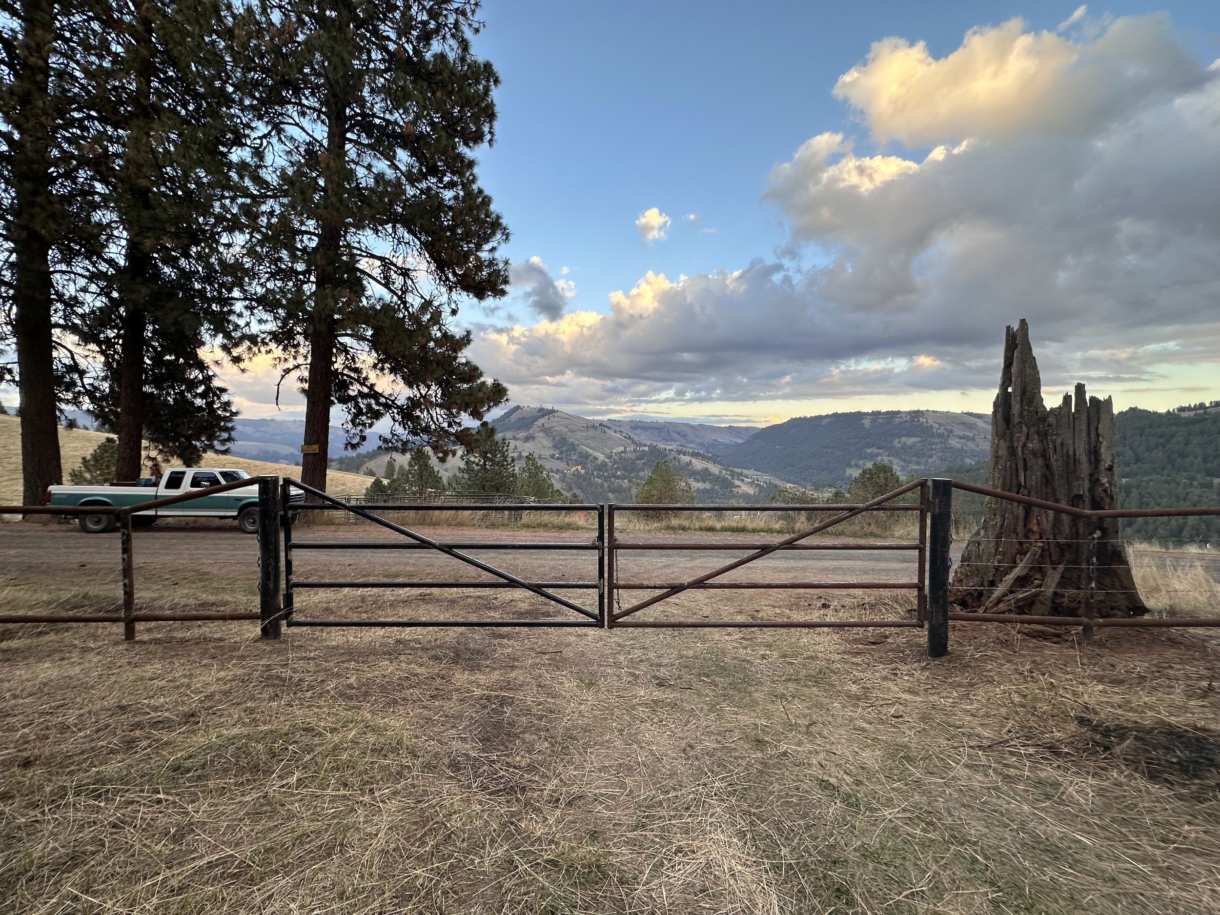 Property_Gate.jpg