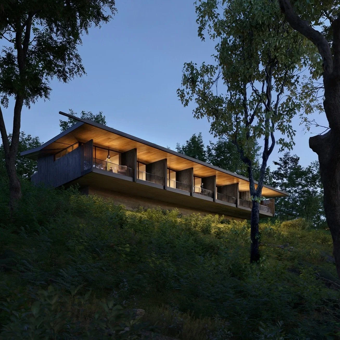 Shenandoah Nature Resort in Star Tannery, Virginia, a luxury wellness retreat designed by Olson Kundig, Marlon Blackwell Architects, Clodagh Design, and Coen & Partners.