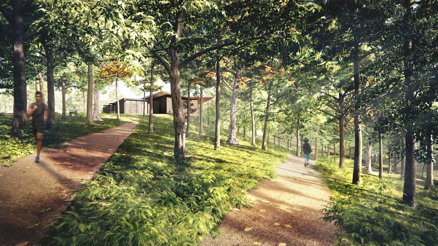 Shenandoah Nature Resort in Star Tannery, Virginia, a luxury wellness retreat designed by Olson Kundig, Marlon Blackwell Architects, Clodagh Design, and Coen & Partners.