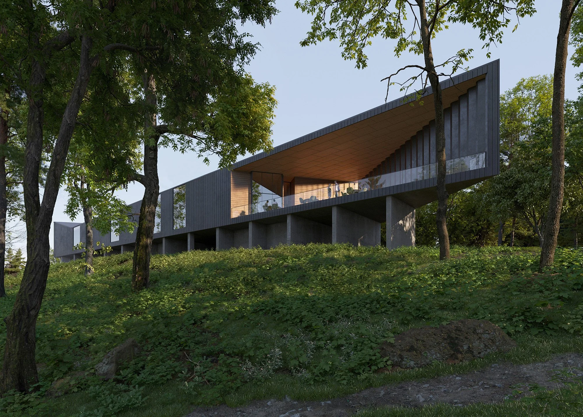 Shenandoah Nature Resort in Star Tannery, Virginia, a luxury wellness retreat designed by Olson Kundig, Marlon Blackwell Architects, Clodagh Design, and Coen & Partners.