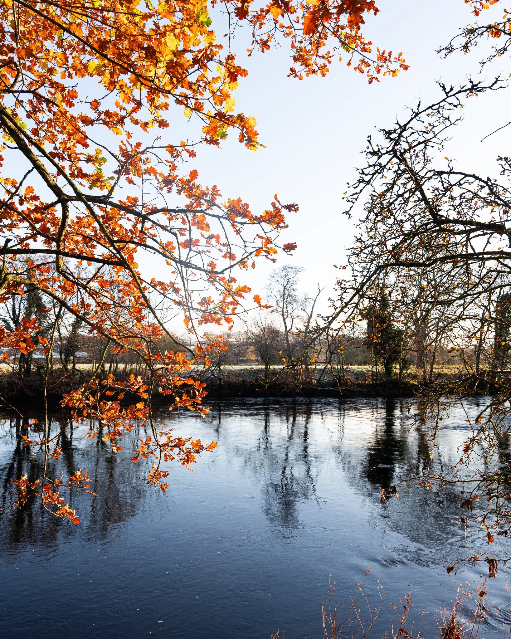 Autumn scene with orange and yellow leaves on tree branches over a calm body of water, with reflections of trees on the water's surface.