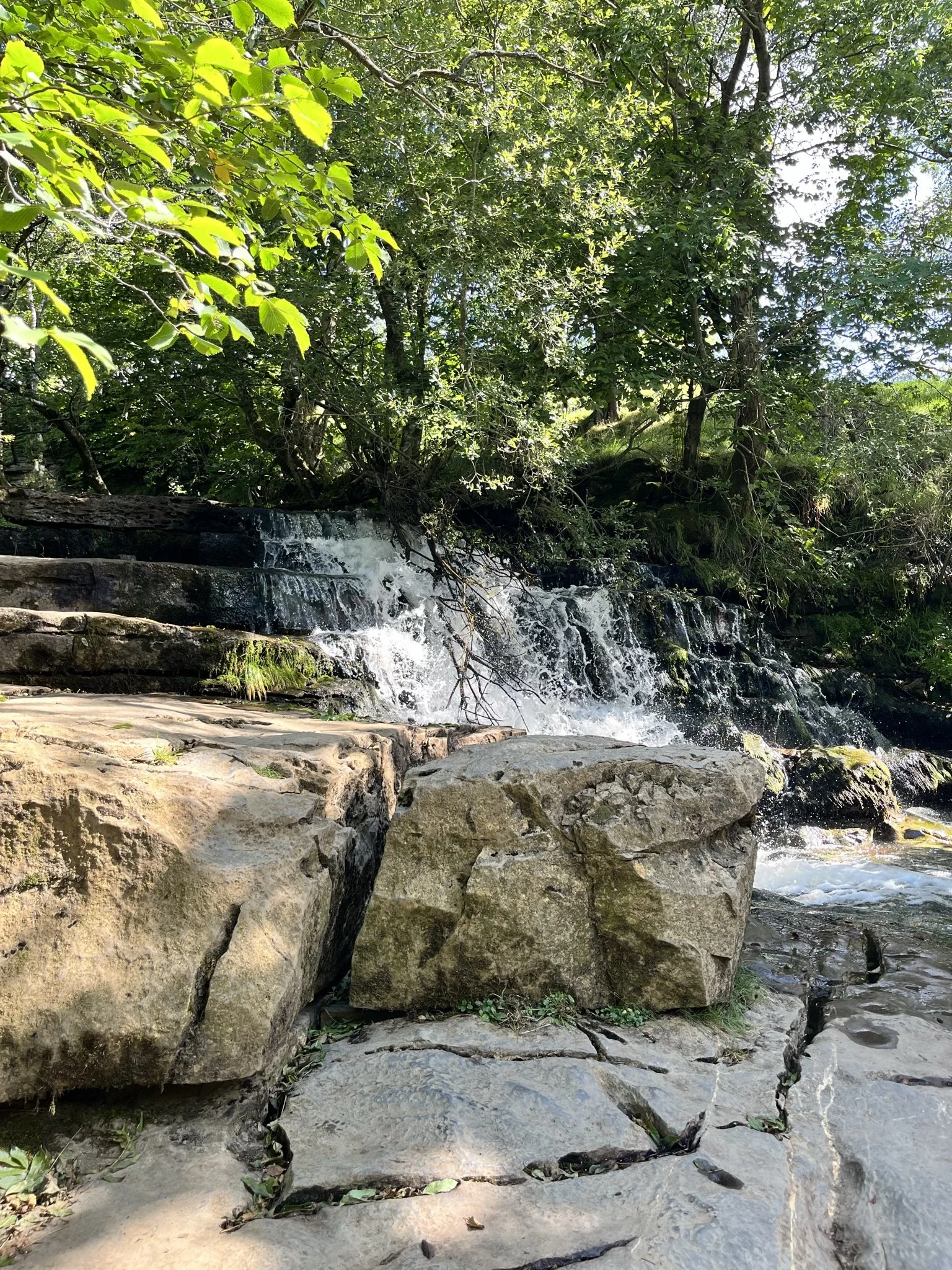 A small waterfall cascading over rocks surrounded by green trees and bushes in a natural forest setting.
