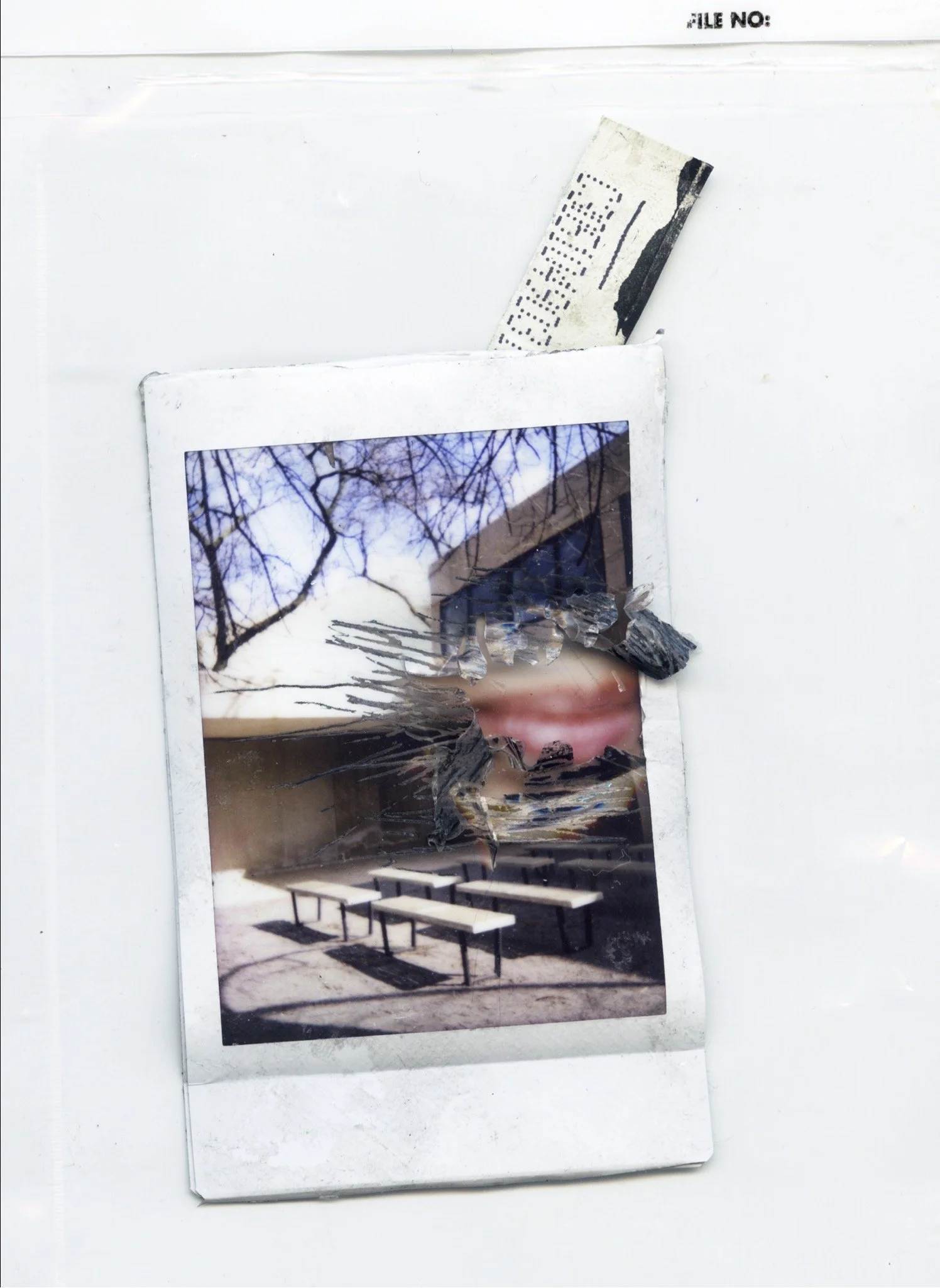 IMG_2560.jpeg