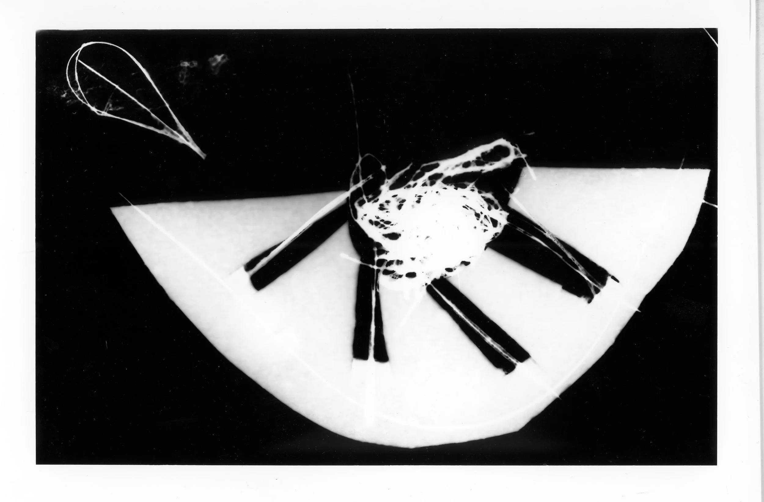 limon(self)_originalscan.jpg