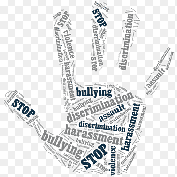 Bullying, Harassment & Safety Concerns