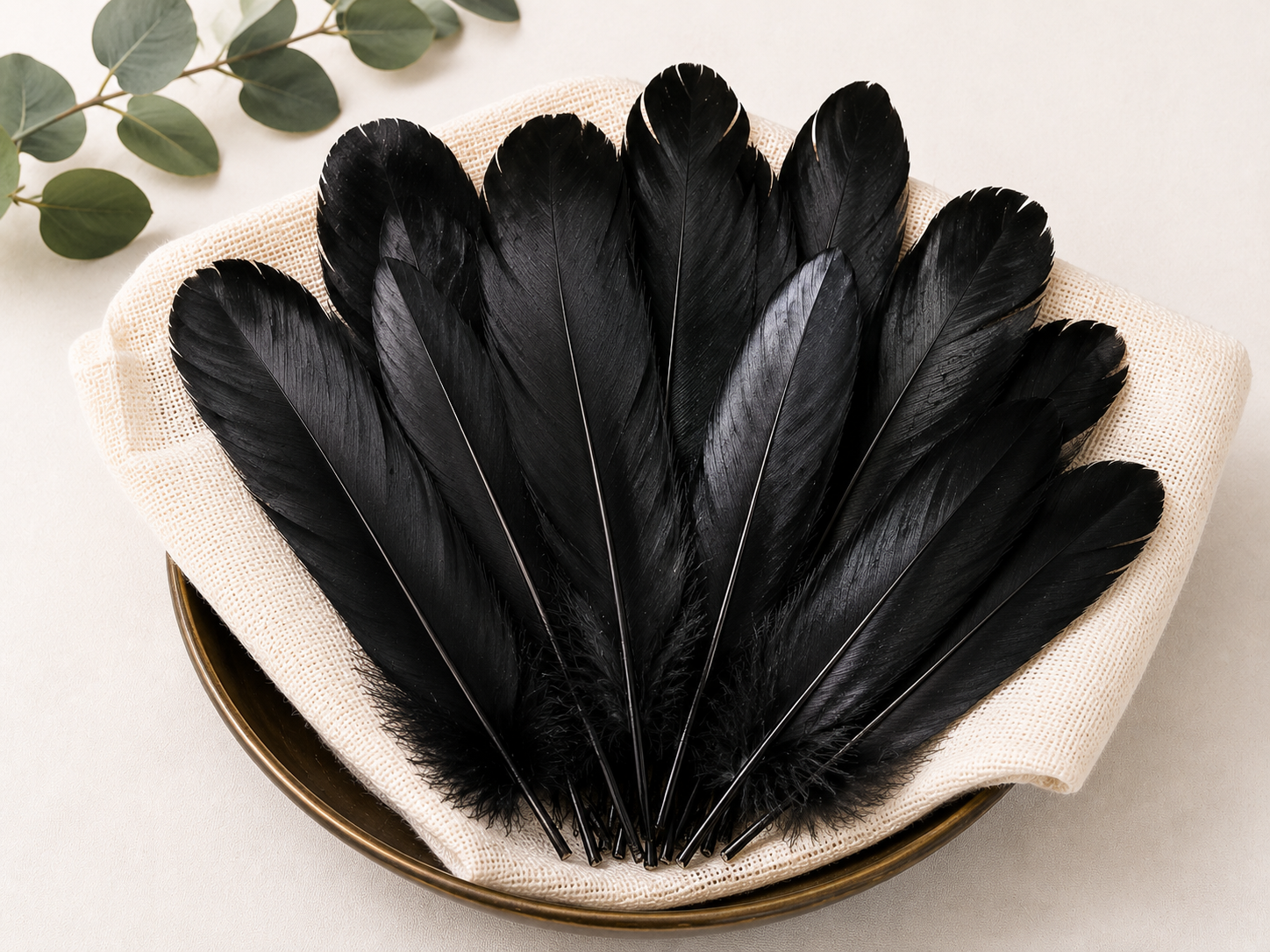 Feathers-Black