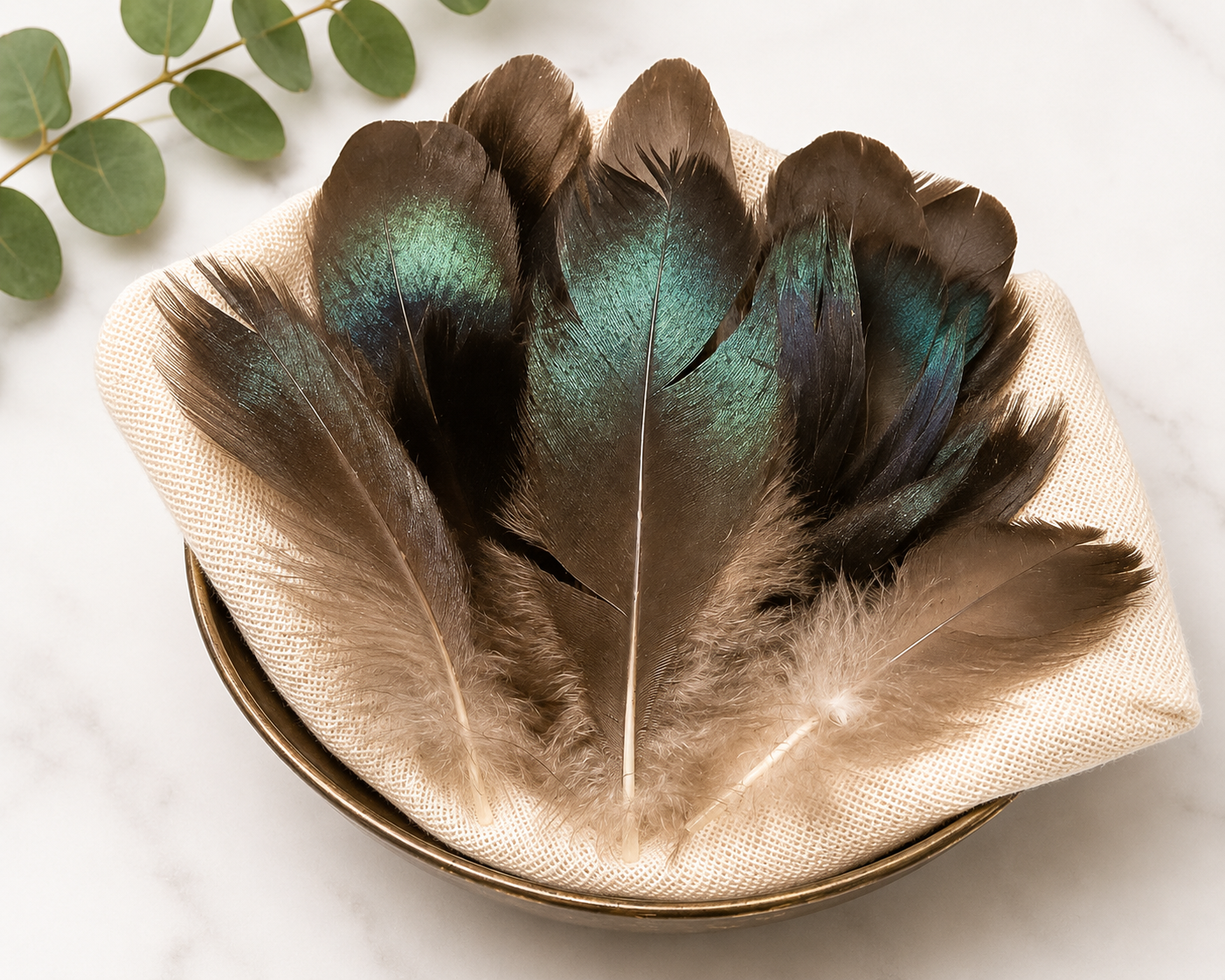 Feathers-Brown w/Aqua