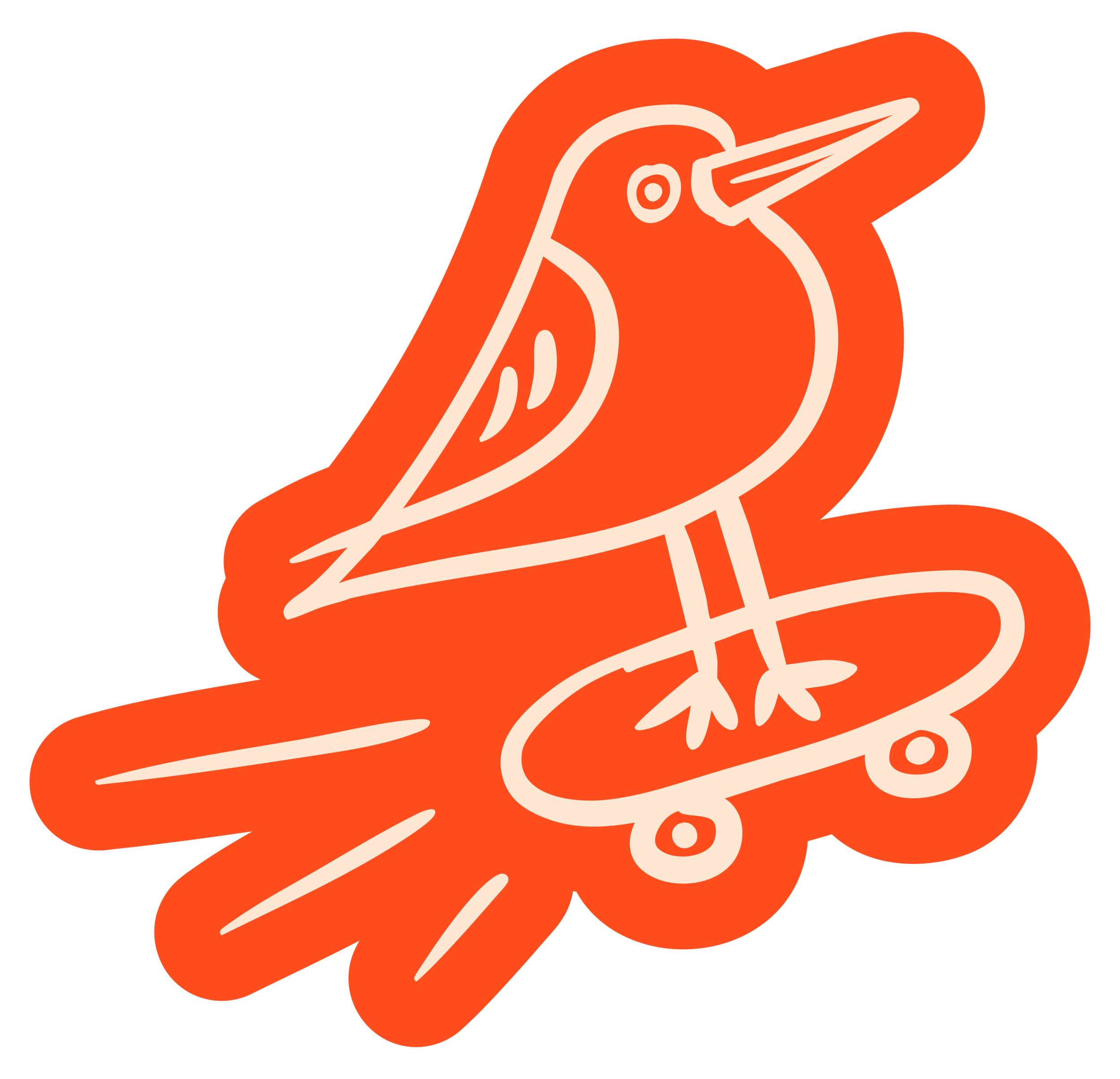Illustration of a sand piper riding a skateboard while smiling for Hand It Down Kid's Resale Shop in Santa Cruz, CA (by brand designer, Dorey Kronick)