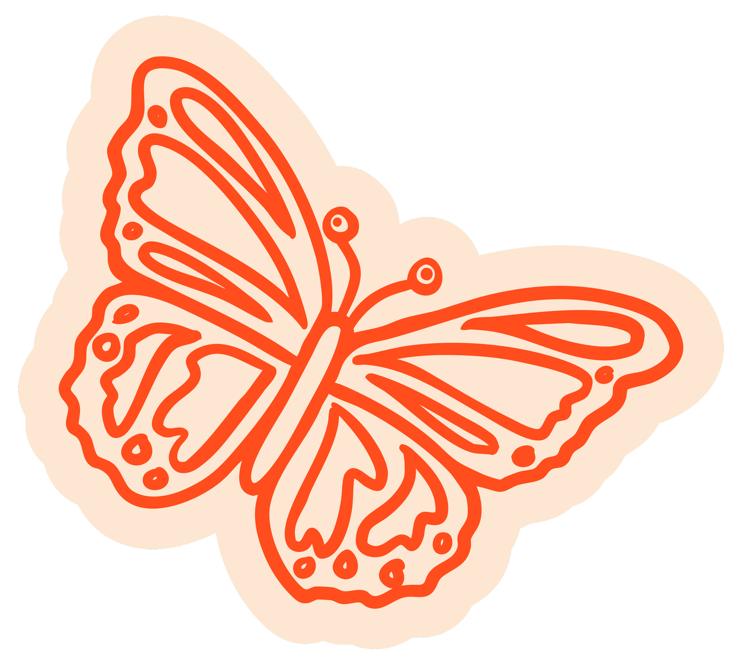 Illustration of a monarch butterfly with eyes for Hand It Down Kid's Resale Shop in Santa Cruz, CA (by graphic designer and illustrator, Dorey Kronick)