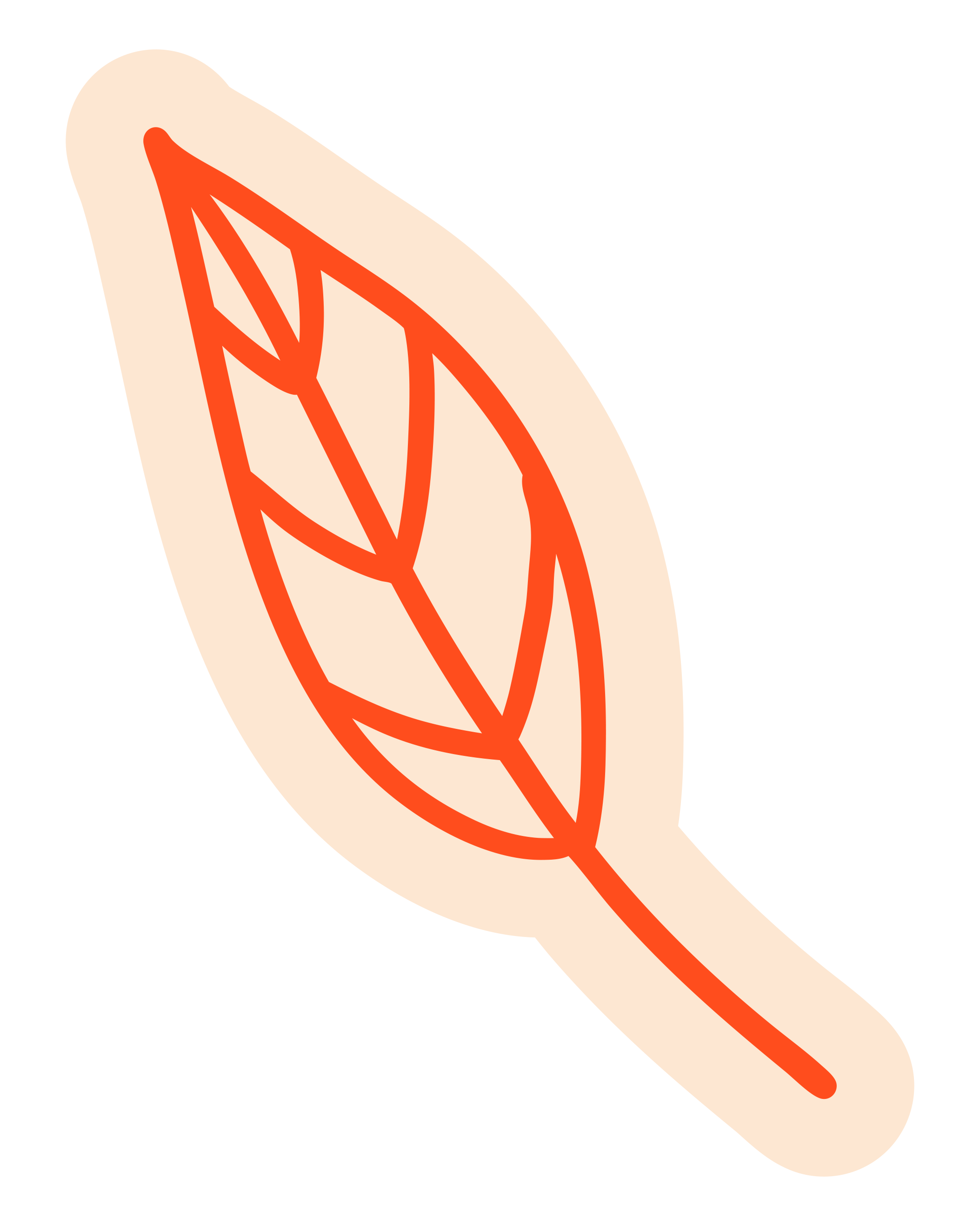 Illustration of a leaf for Hand It Down Kid to Kid Resale Shop in Santa Cruz, CA