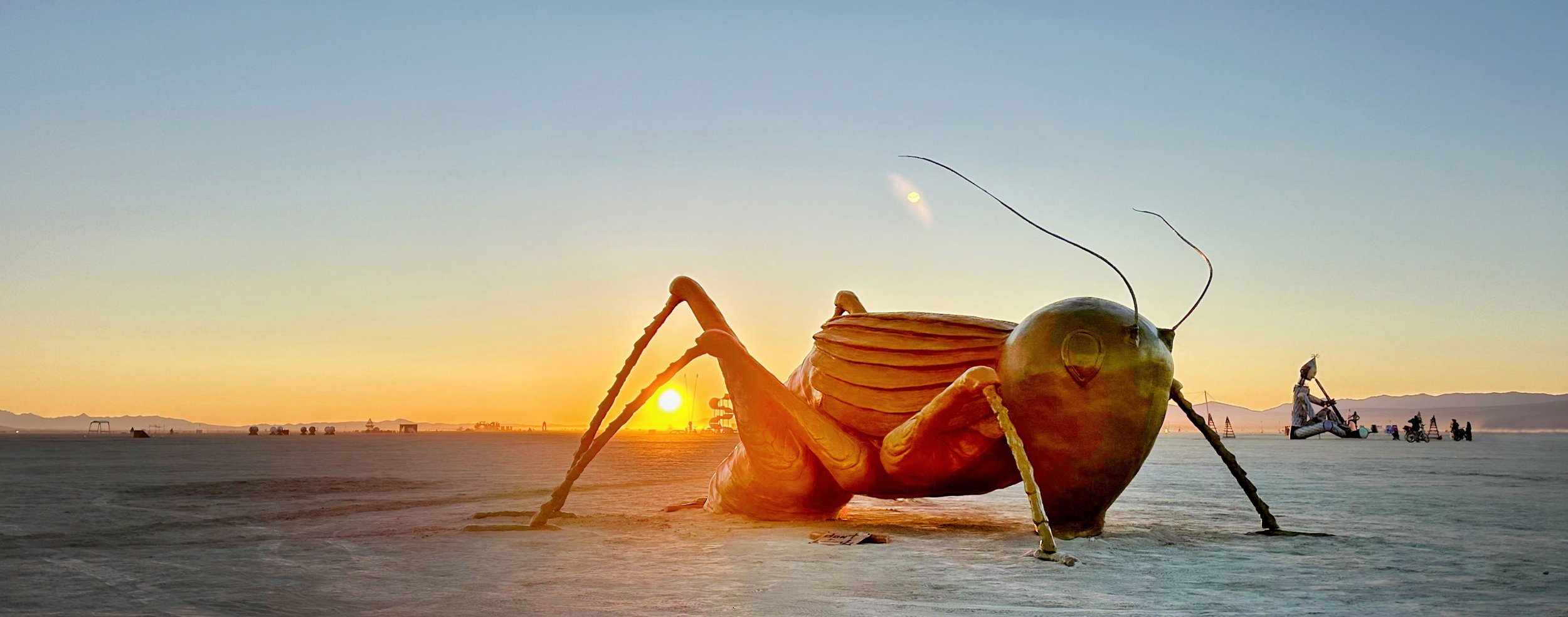GOOD FORTUNE 2024—6’ x 19’ x 5’, Cast Resin with Brass Powder Finish (with chirping audio feature), Burning Man Installation 